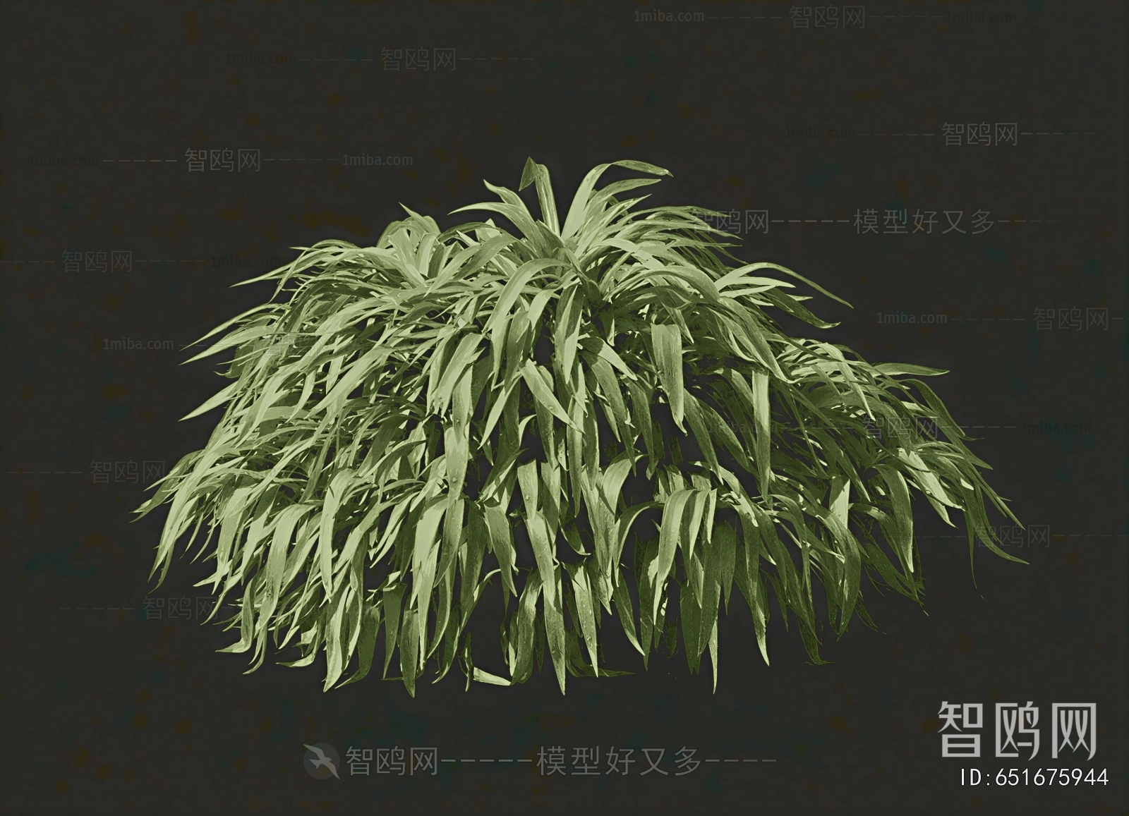 Modern The Grass