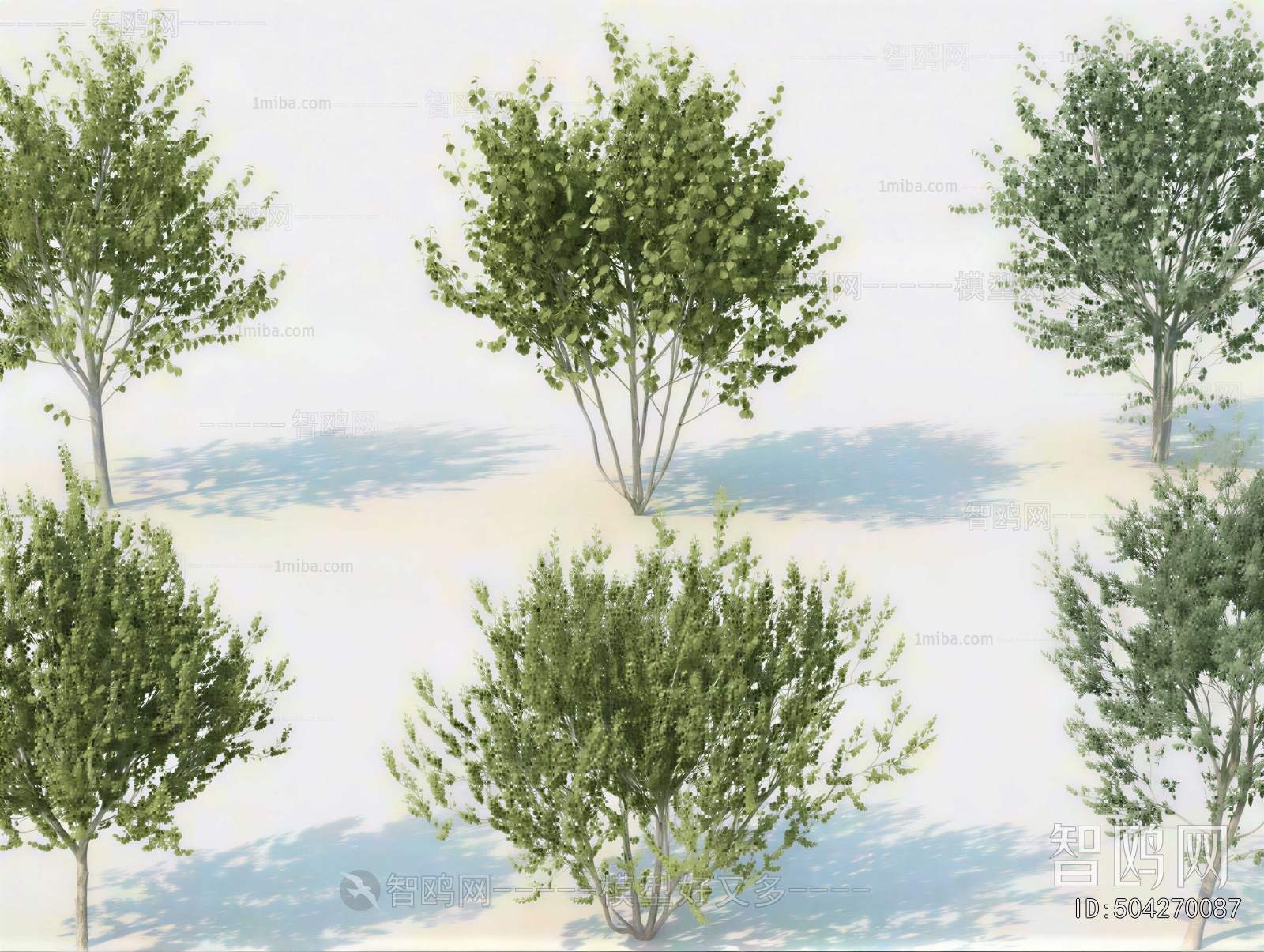 Modern Tree