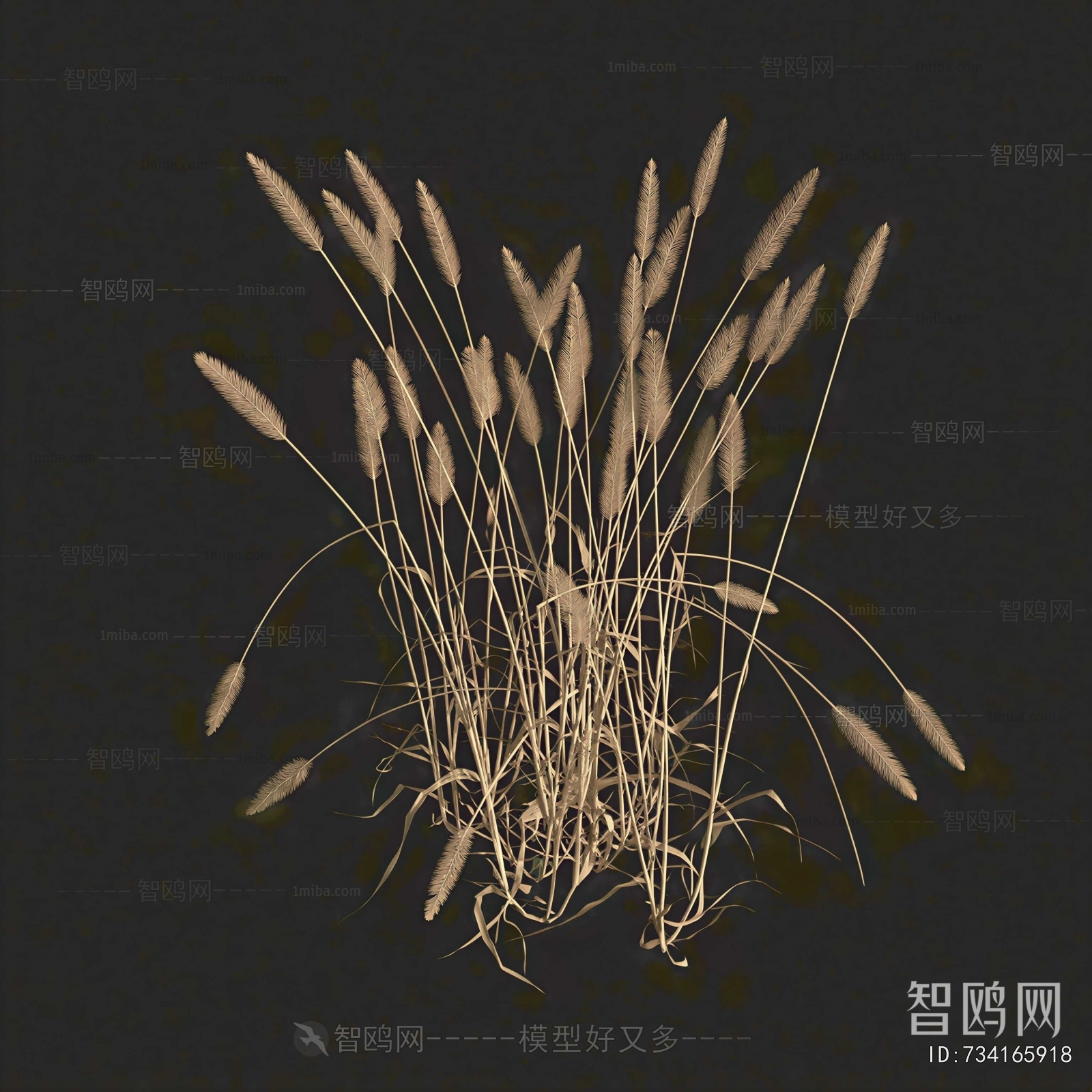 Modern The Grass