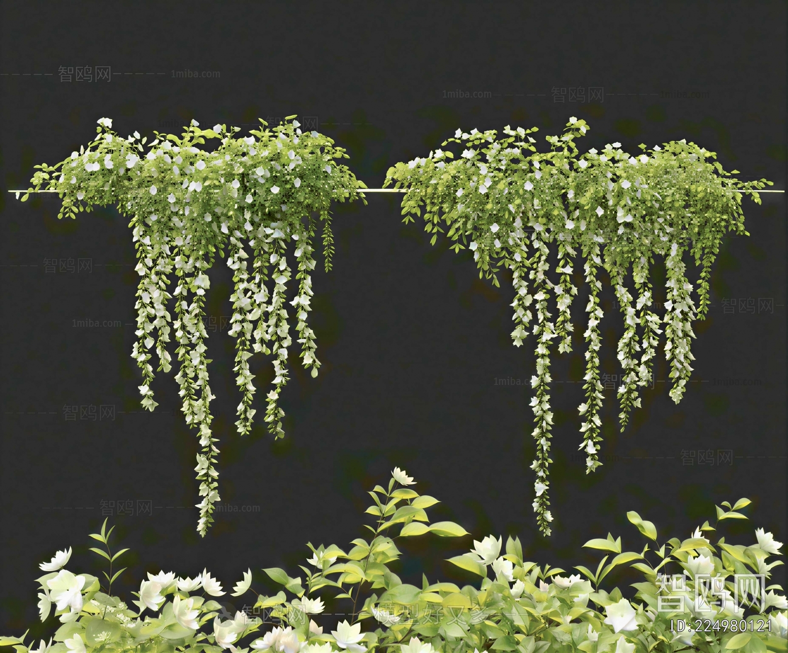 Modern Vine