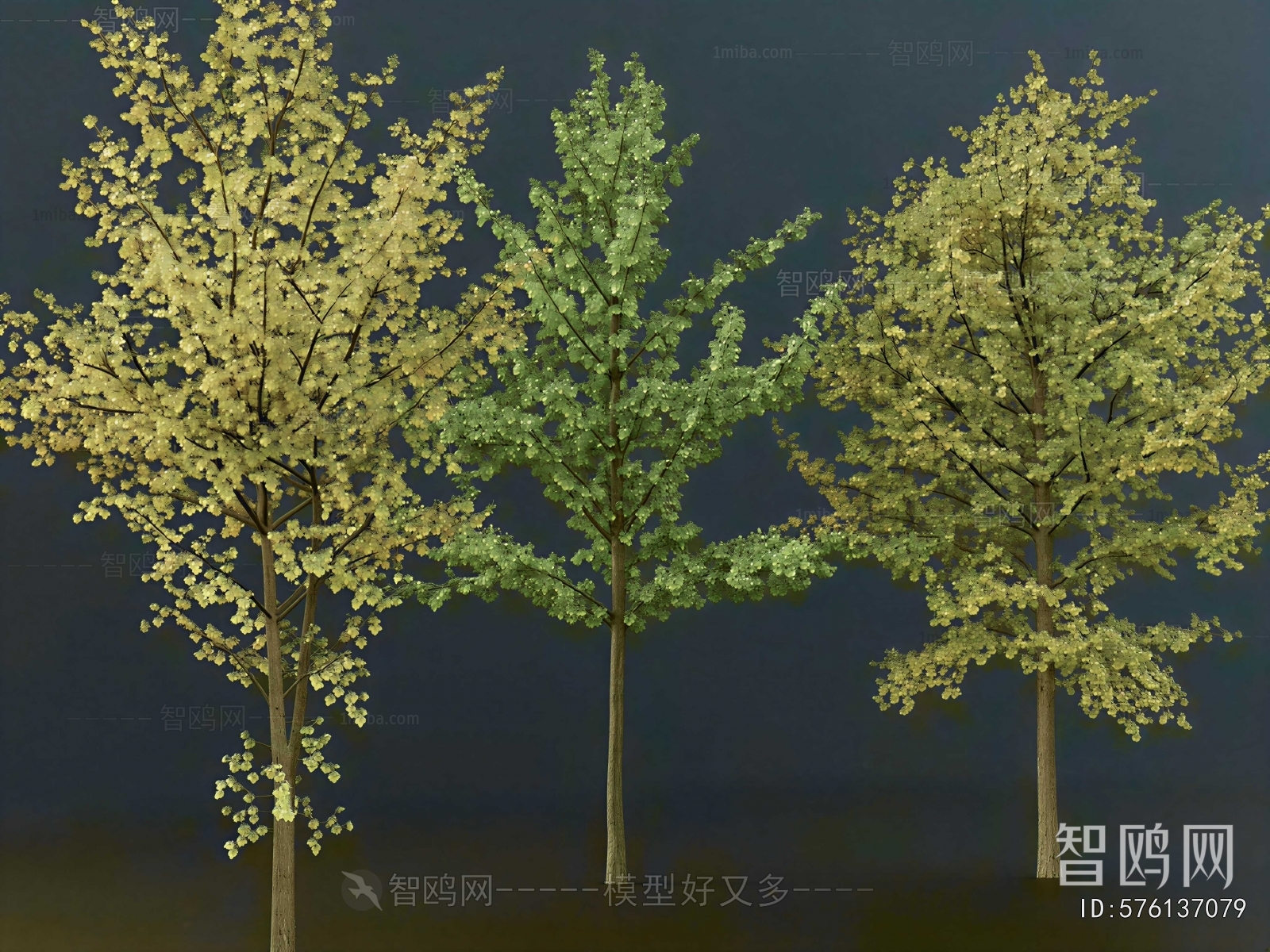 Modern Tree