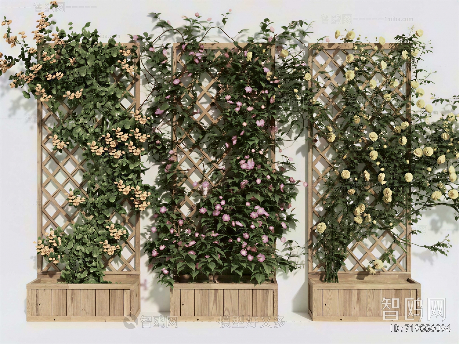 Modern Flower Bed, Flower Bowl, Flower Box