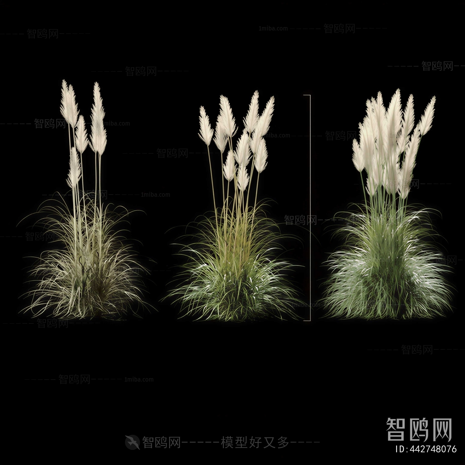 Modern The Grass