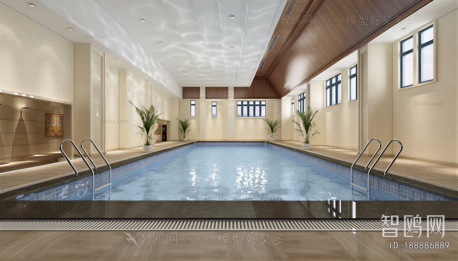 Modern Swimming Pool
