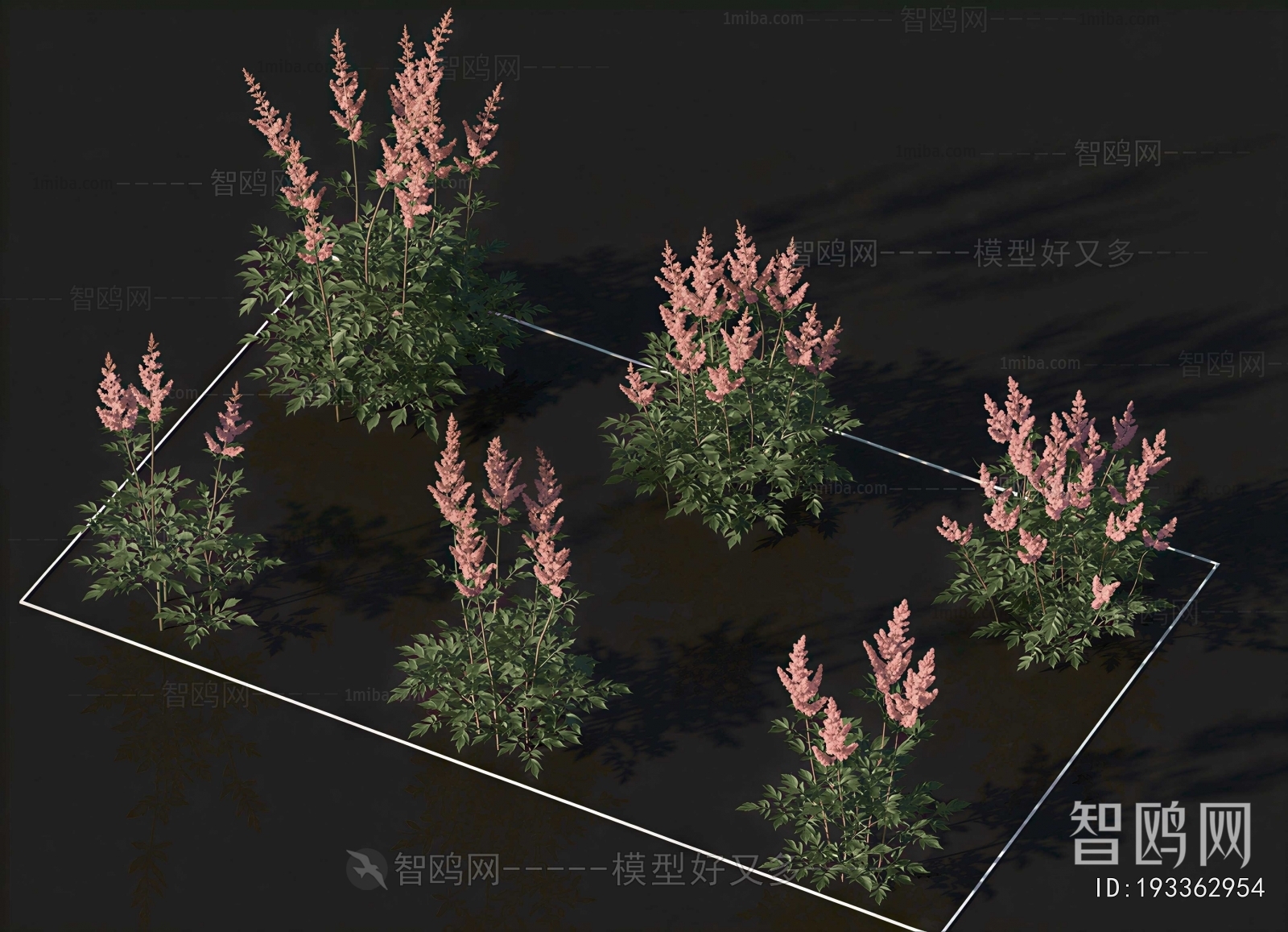 Modern Flowers And Grass