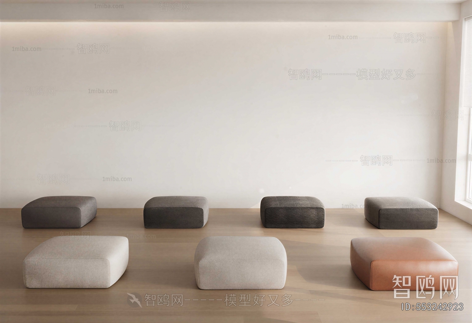 Modern Cushion