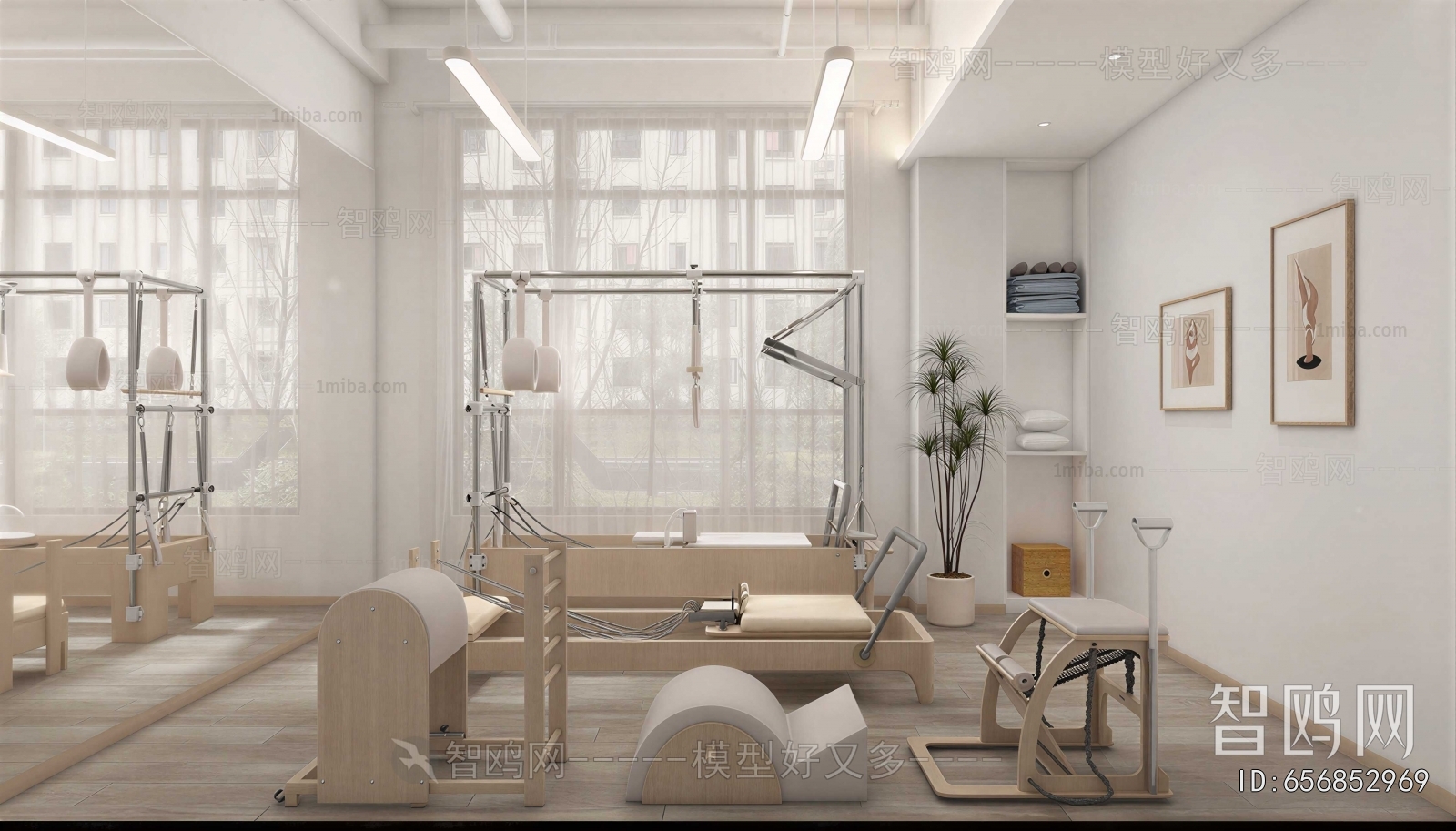 Modern Gym
