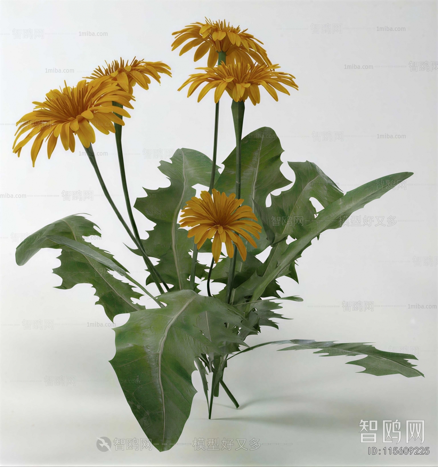 Modern Flowers And Grass