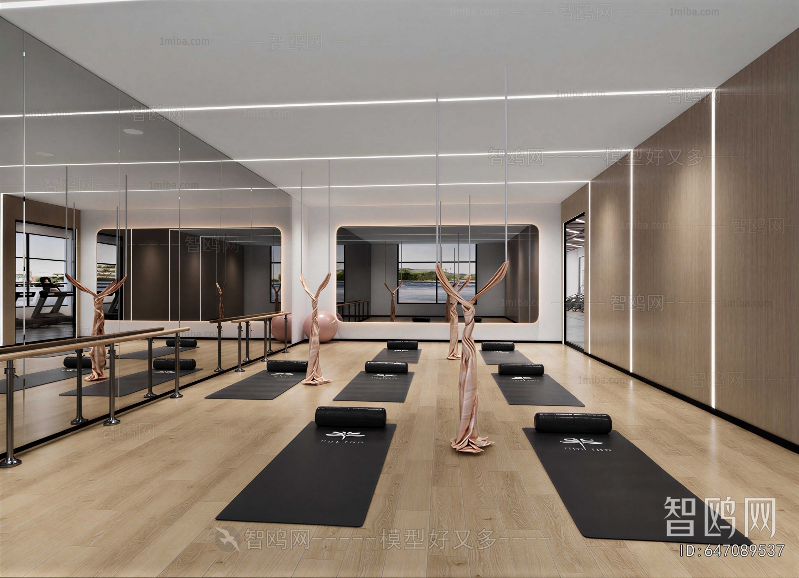 Modern Yoga Room