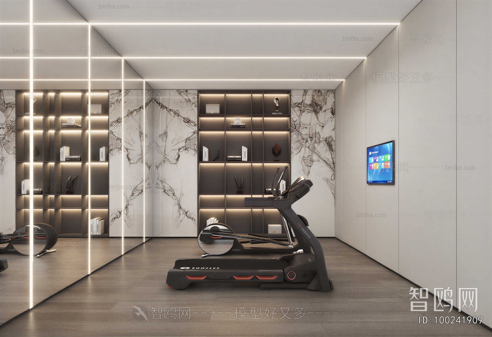 Modern Home Fitness Room