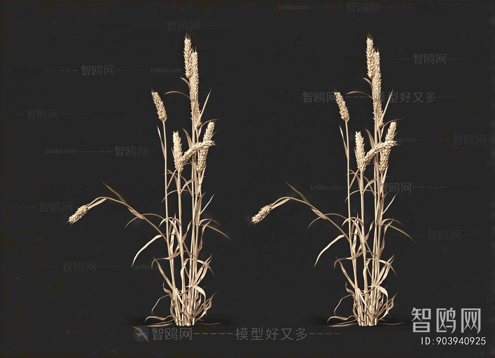 Modern Crop