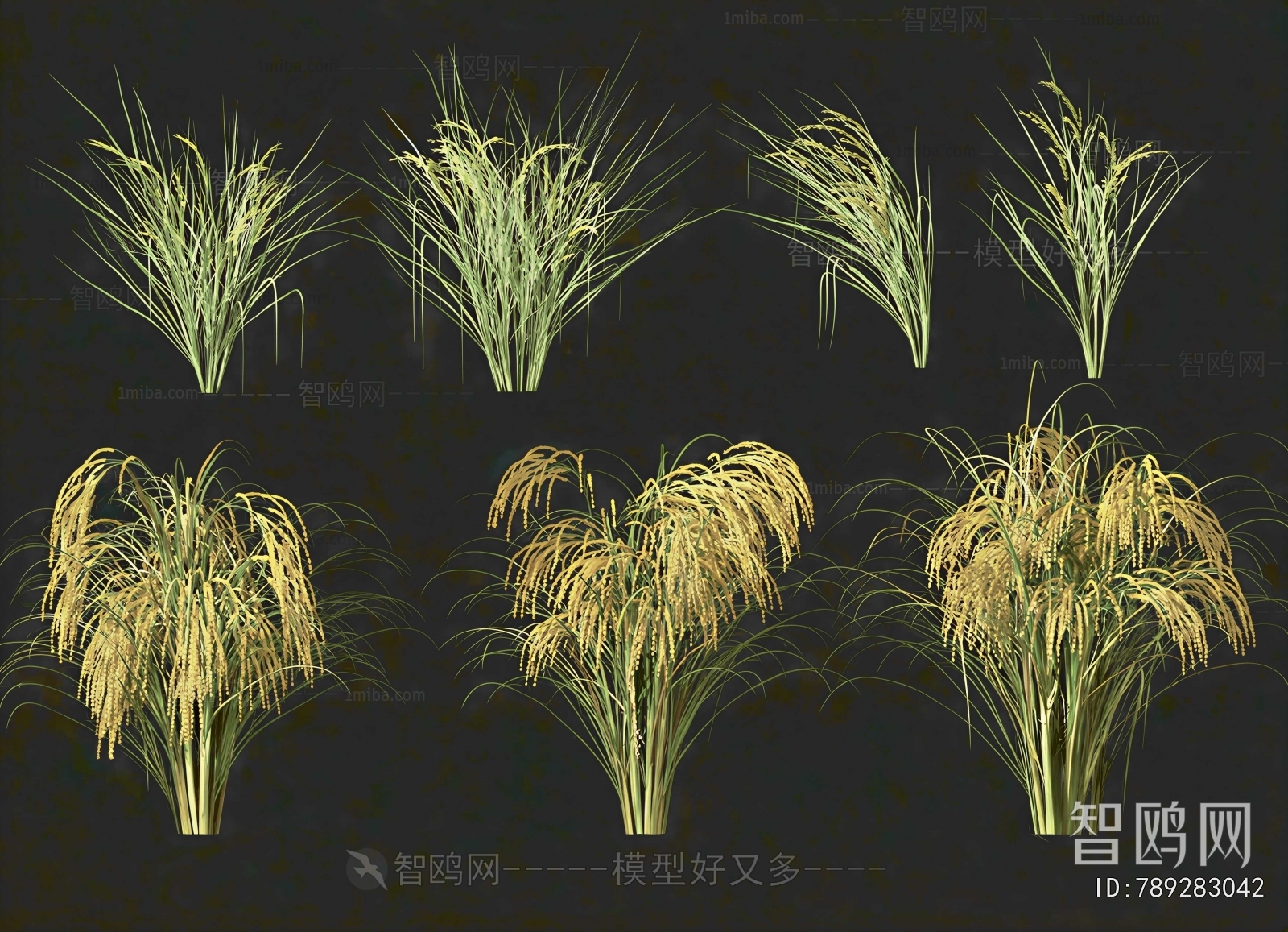Modern Crop