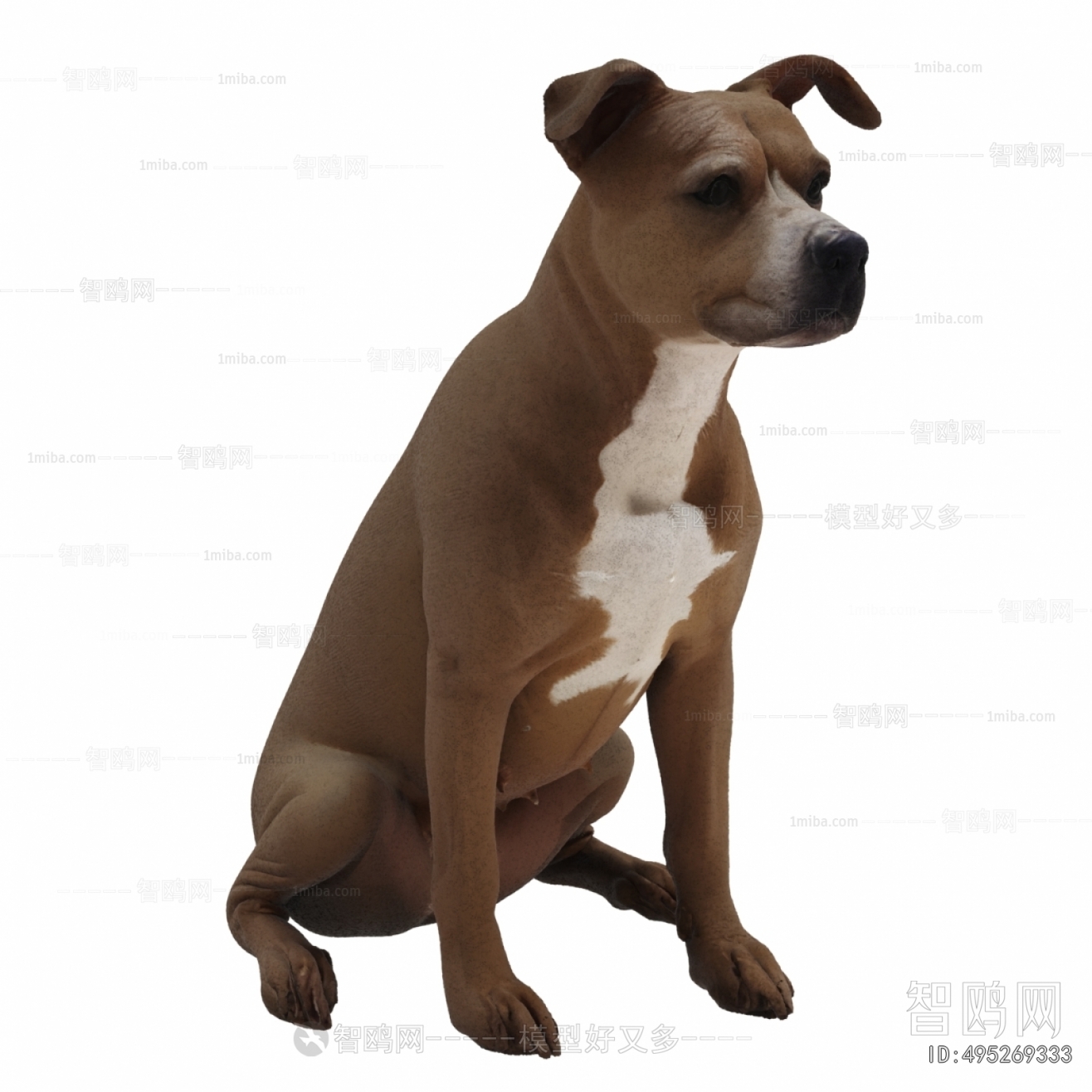 Modern Mammal