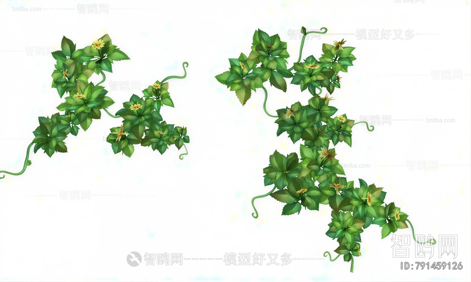 Modern Vine