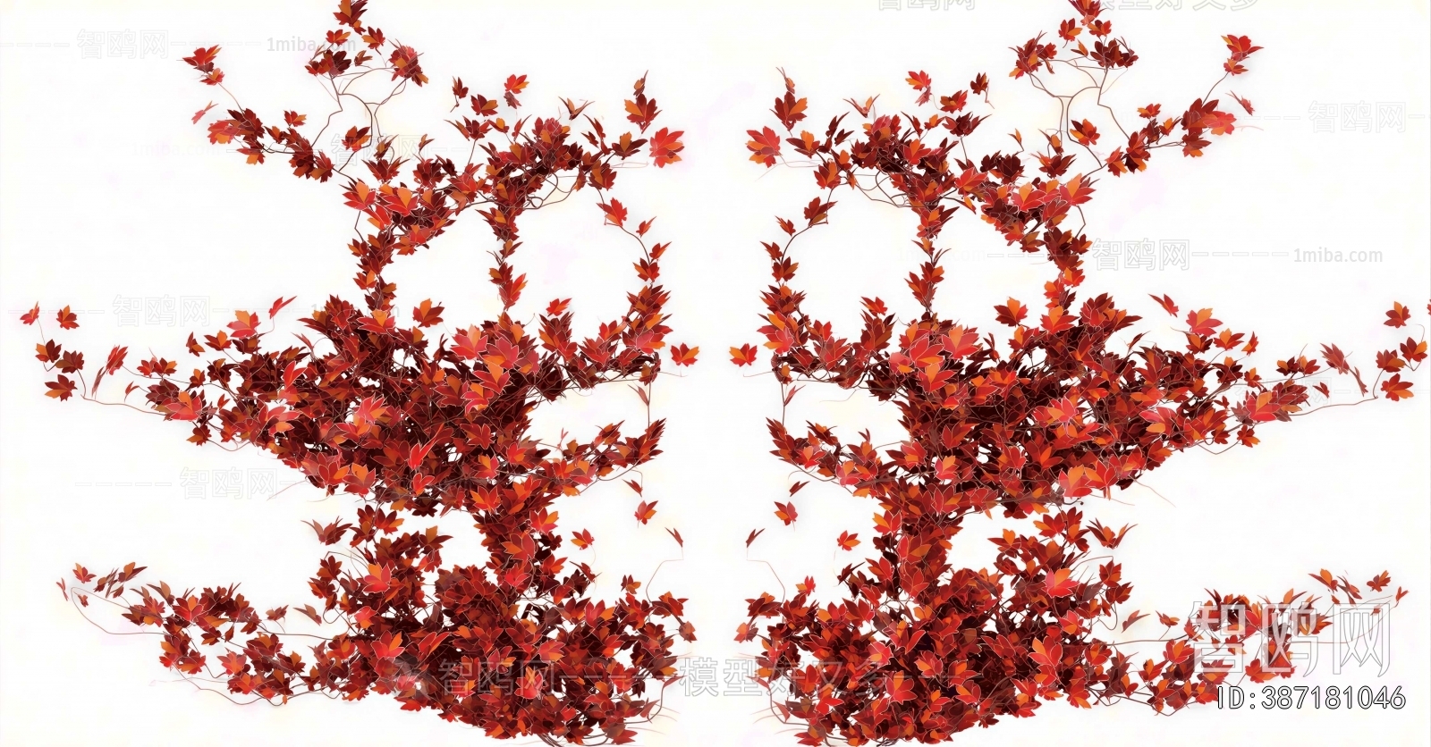 Modern Vine