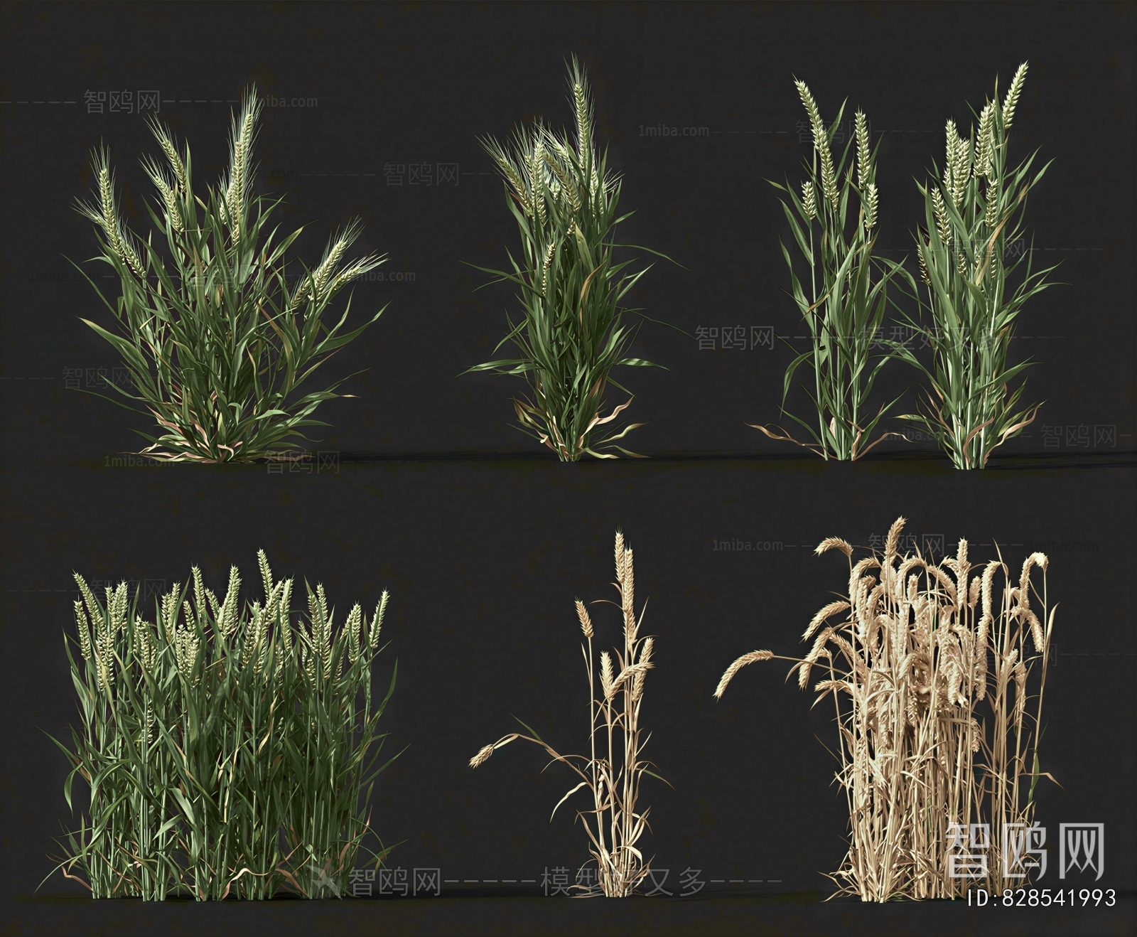 Modern Crop