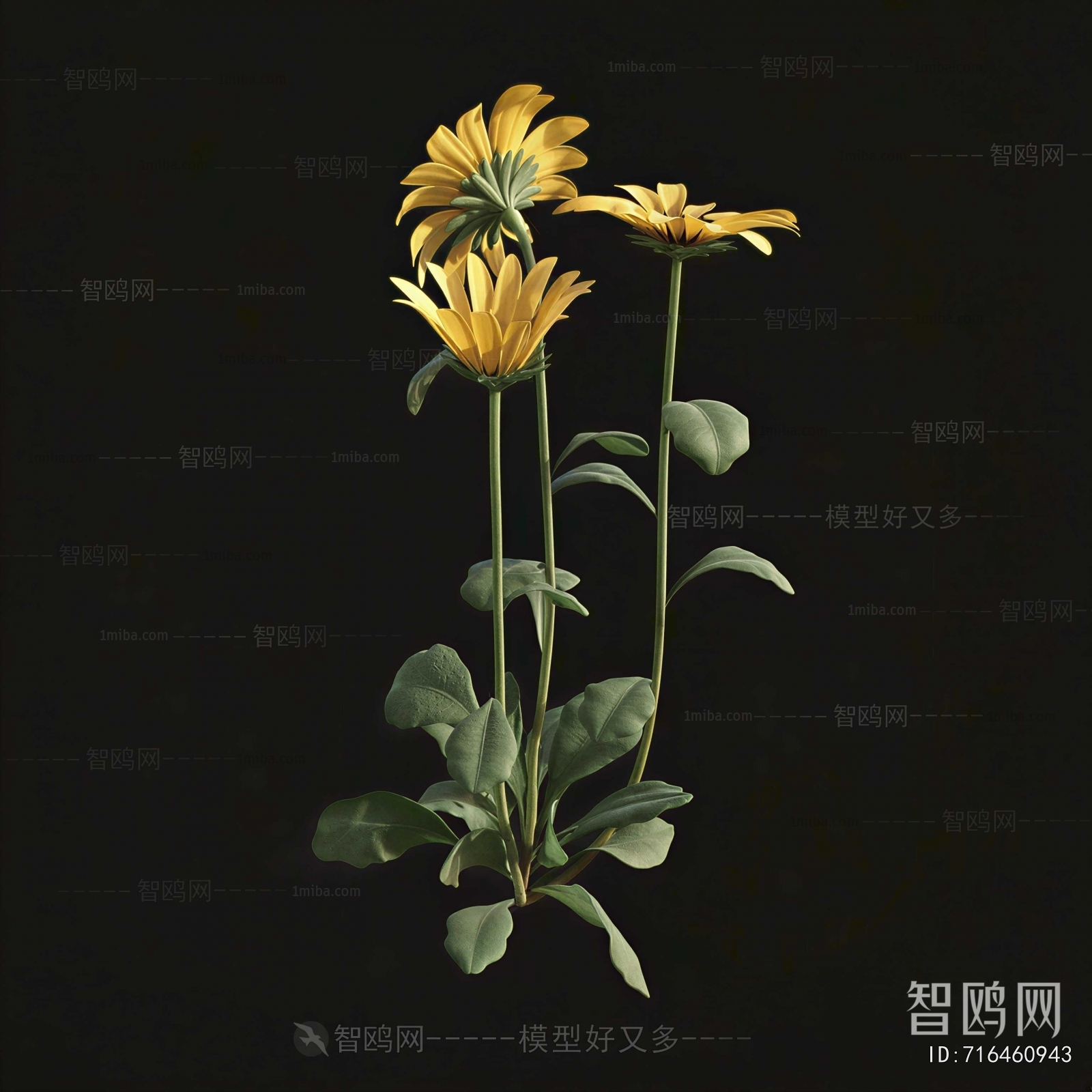 Modern Flowers And Grass