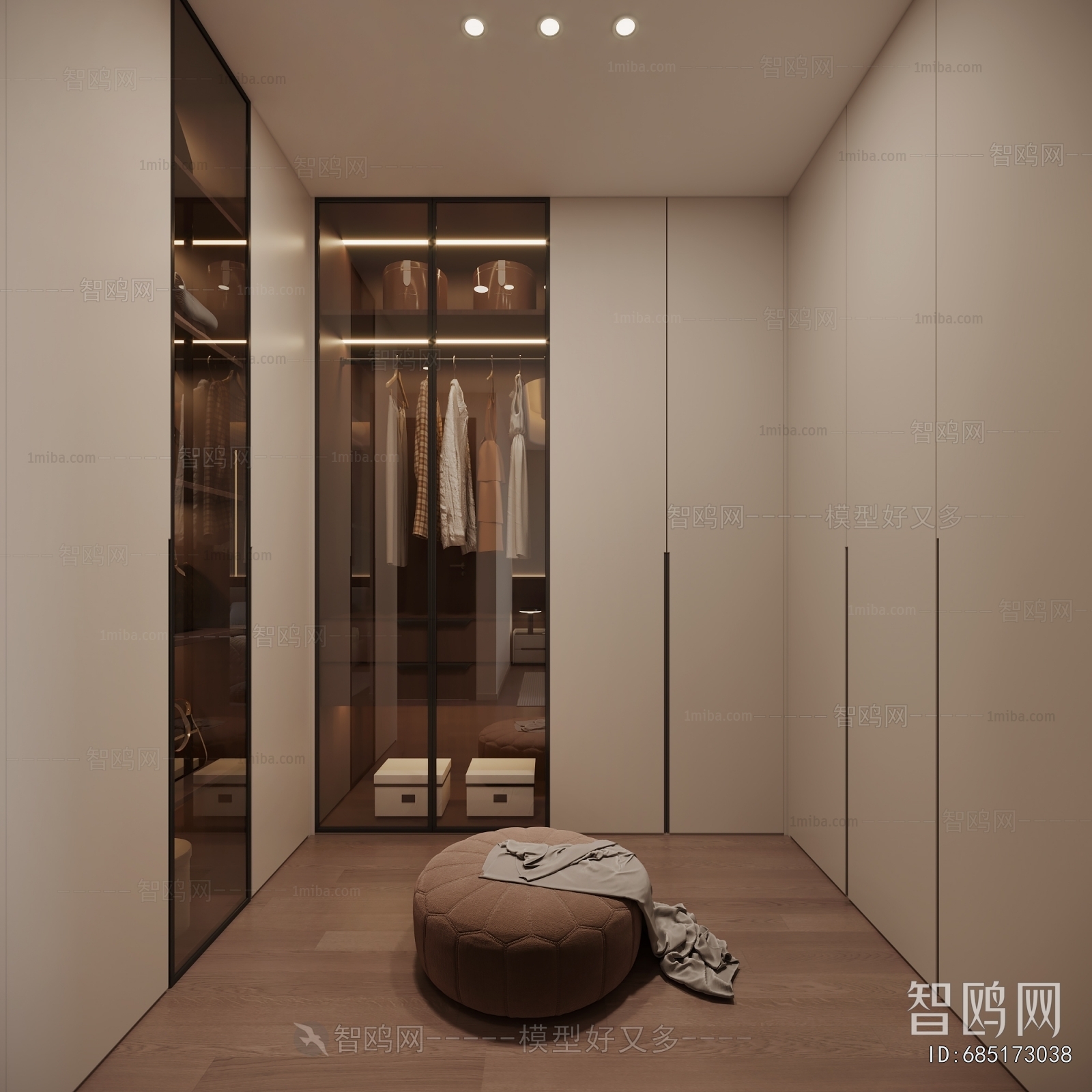 Modern Clothes Storage Area