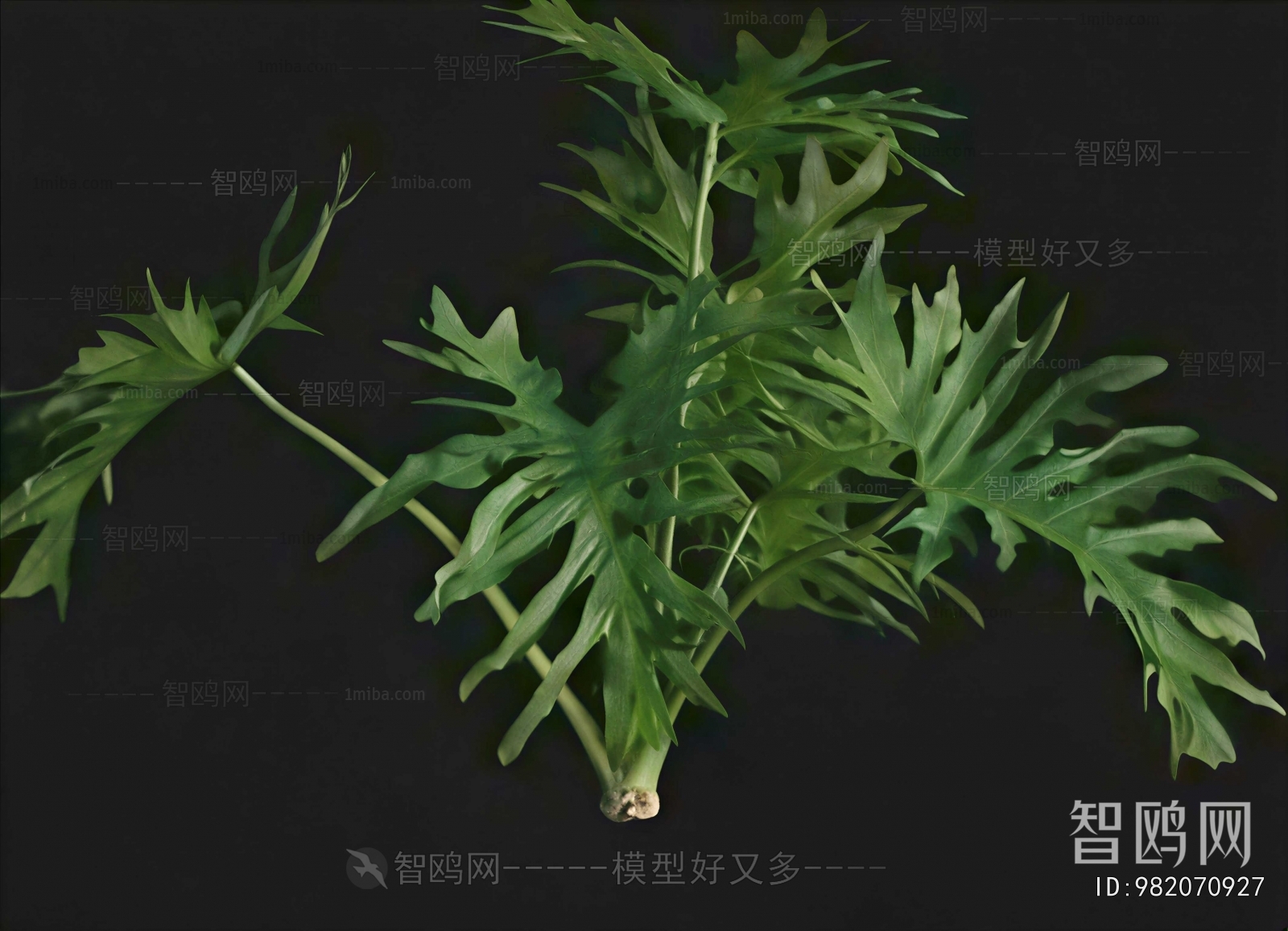 Modern Flowers And Grass
