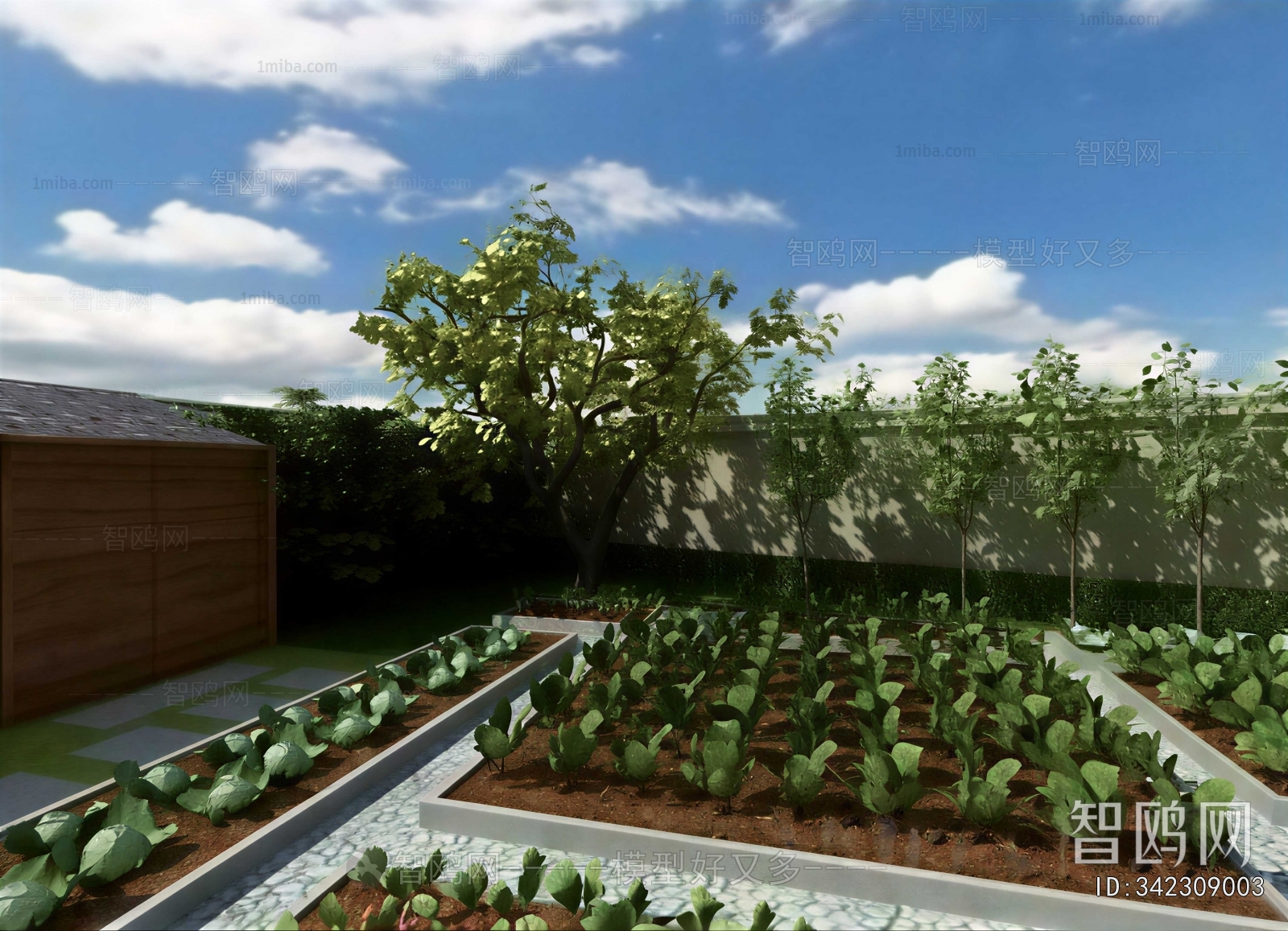 Modern Crop