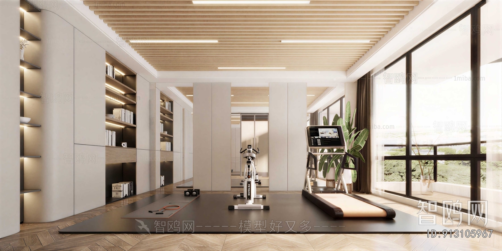 Modern Home Fitness Room