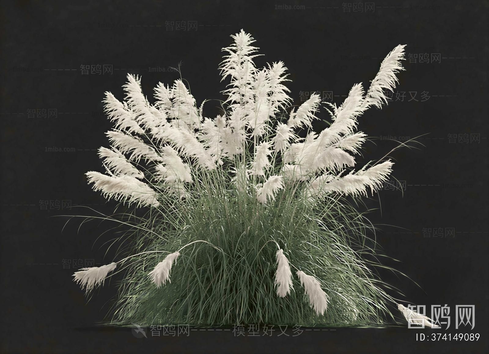 Modern The Grass