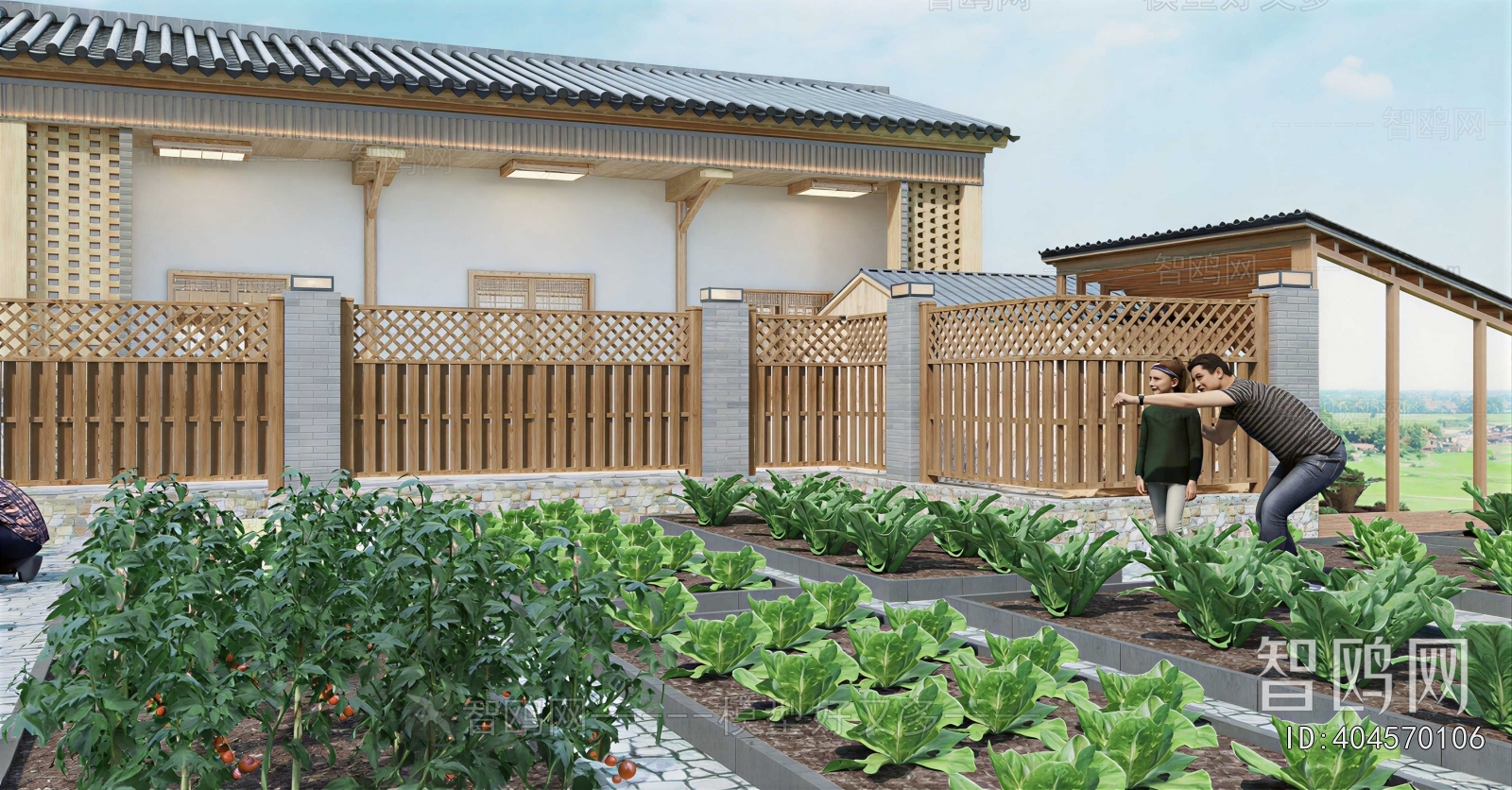 Chinese Style Courtyard/landscape