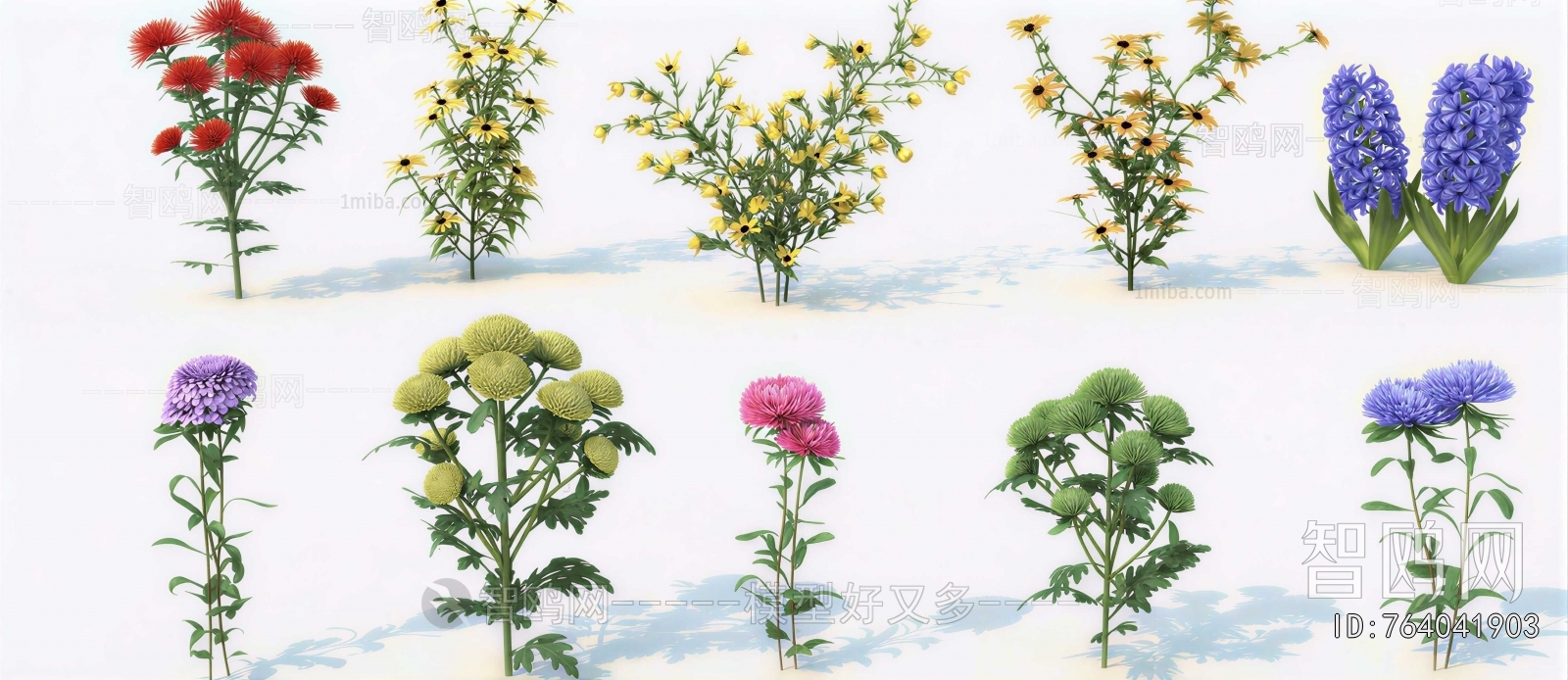 Modern Flowers And Grass