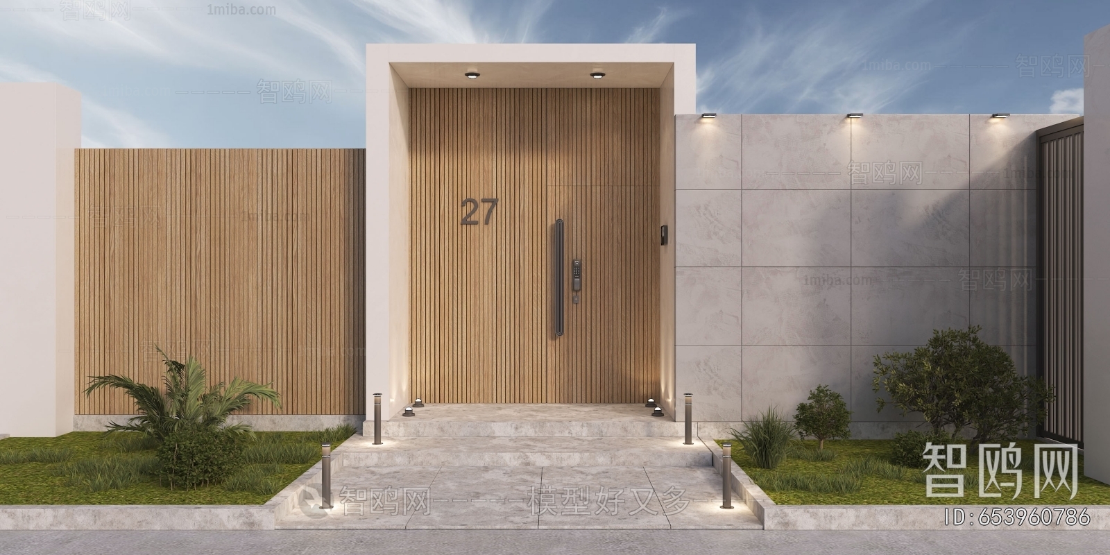 Modern Door