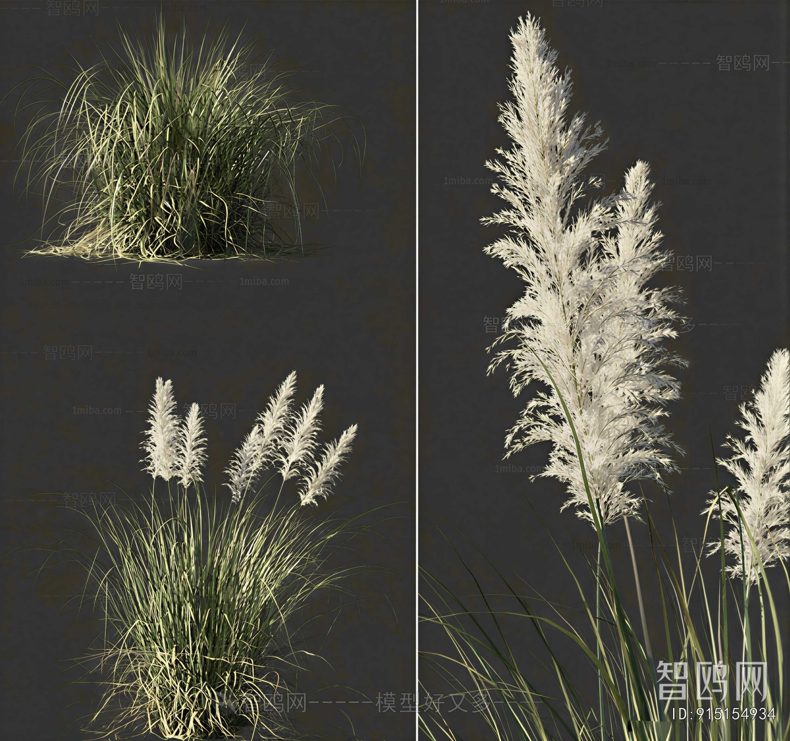Modern The Grass