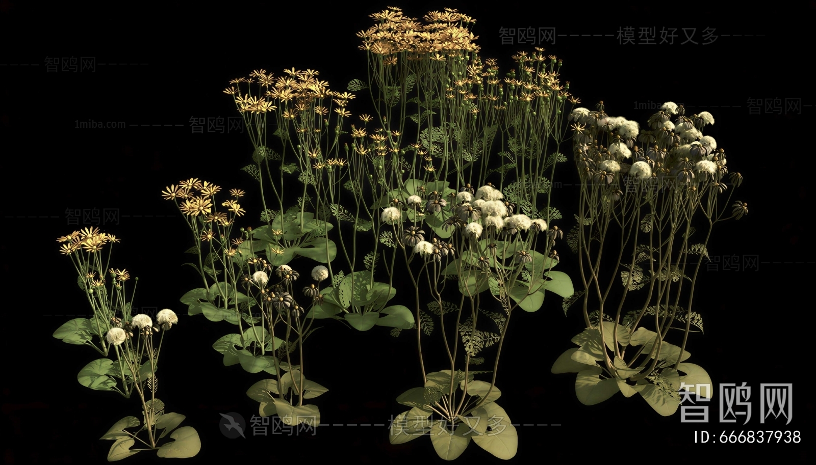 Modern Flowers And Grass
