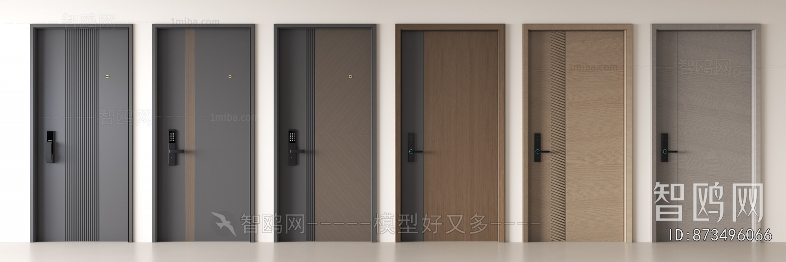 Modern Entrance Door