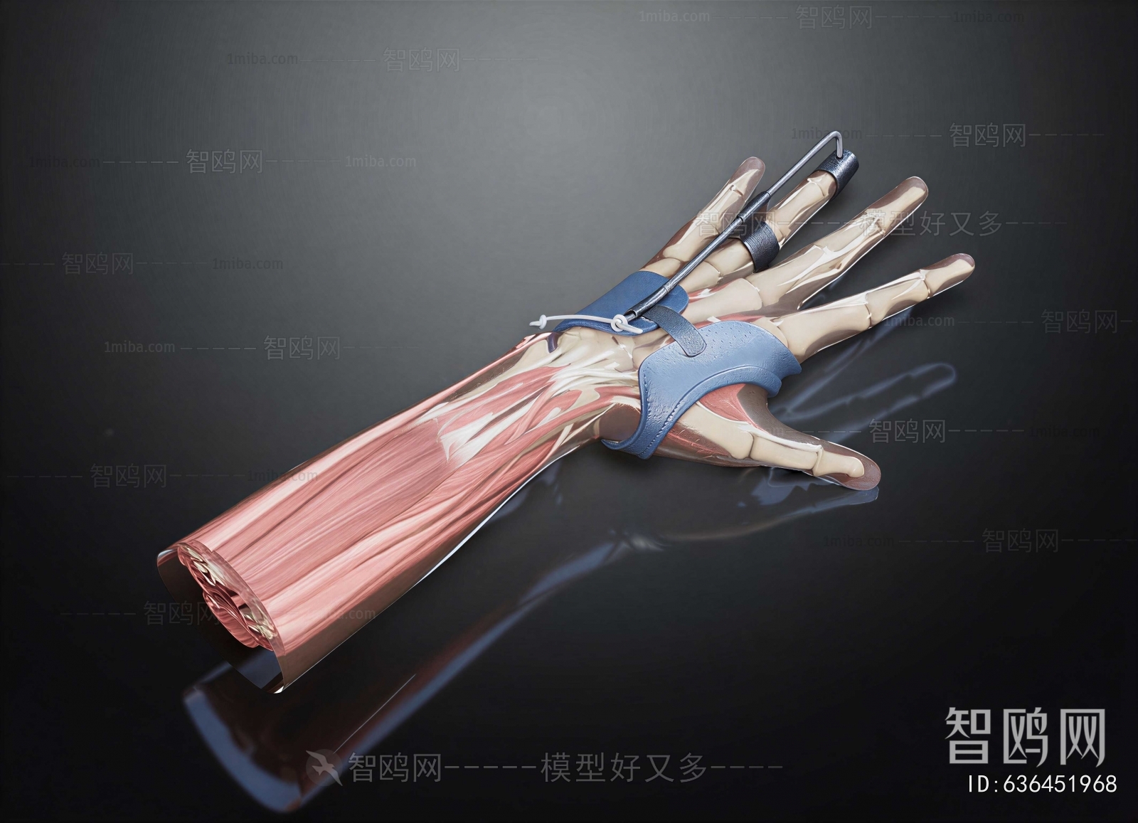 Modern Medical Equipment