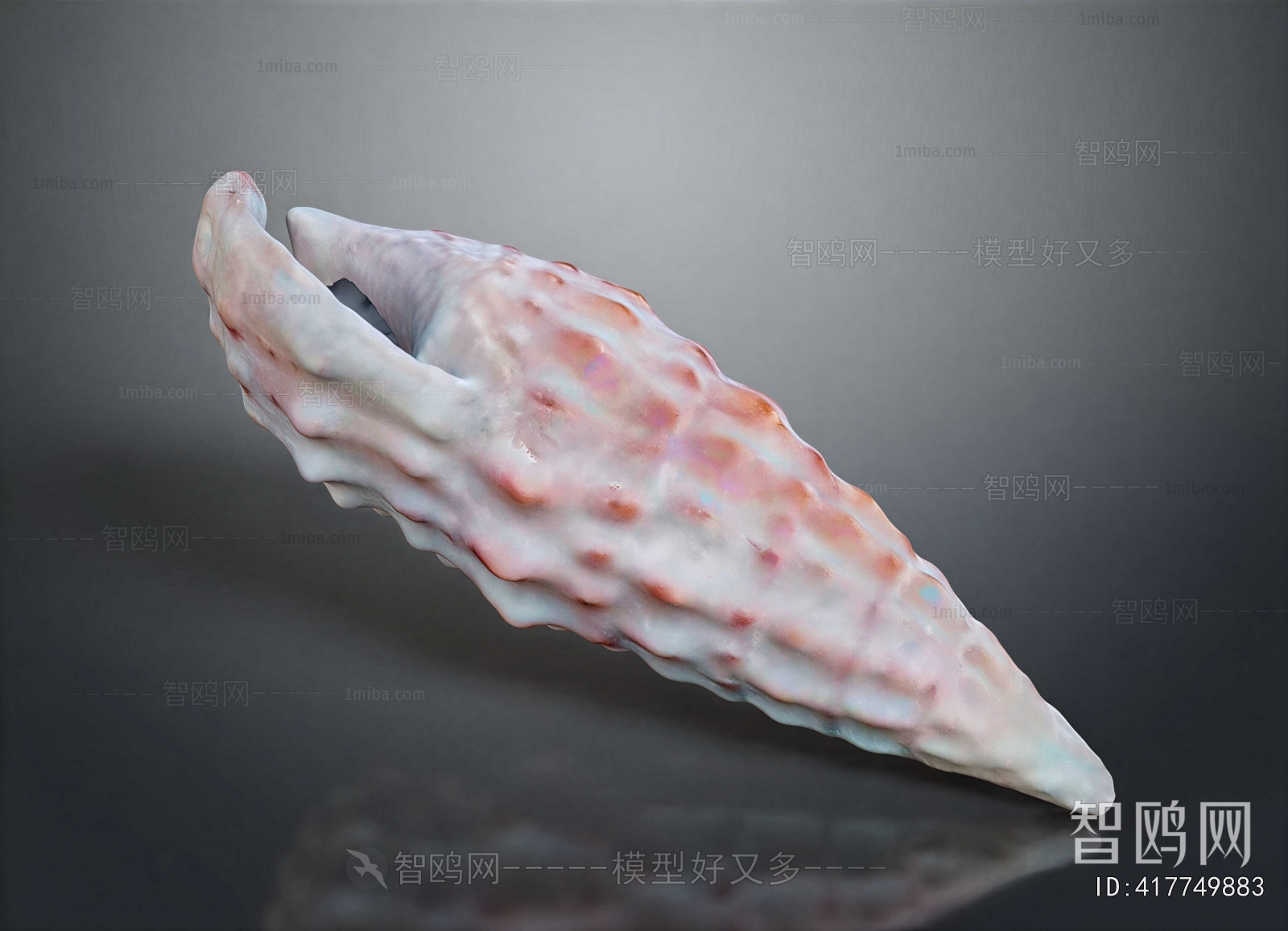 Modern Aquatic Animals