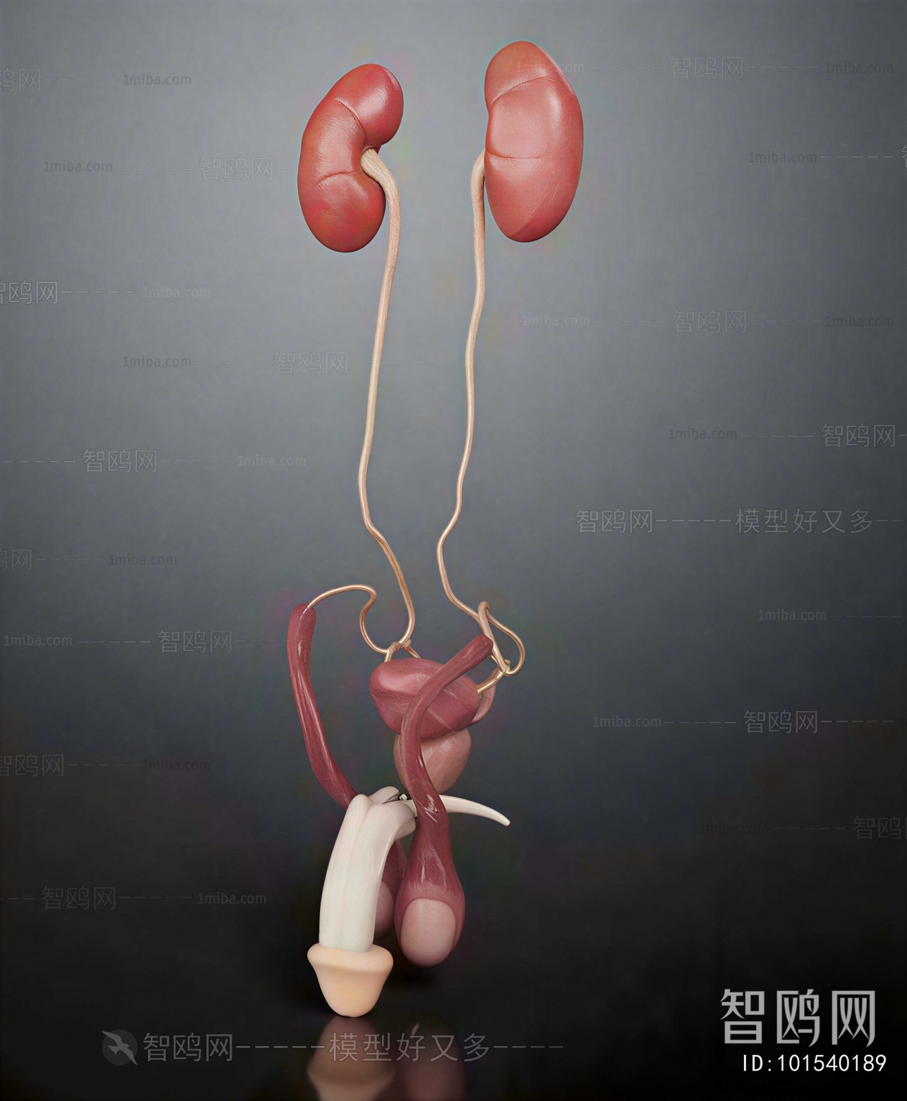 Modern Medical Equipment