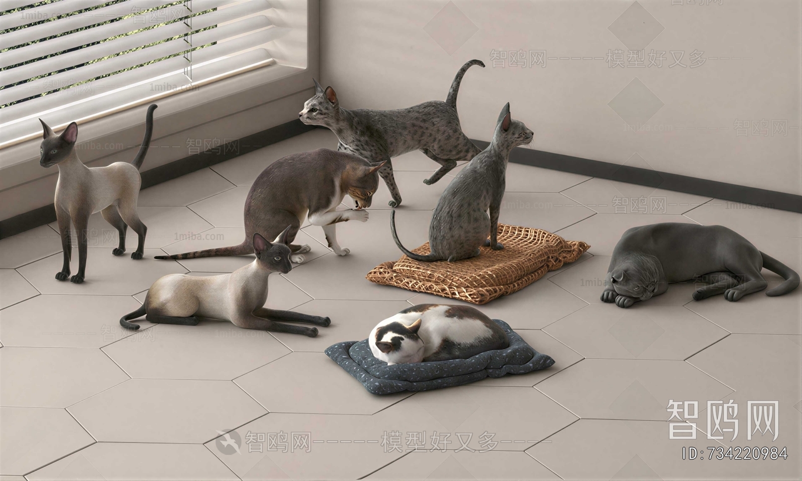Modern Animal Cat