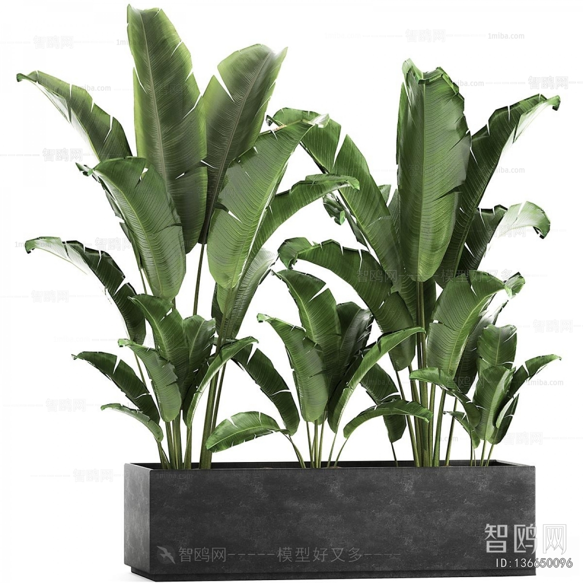 Modern Flower Bed, Flower Bowl, Flower Box