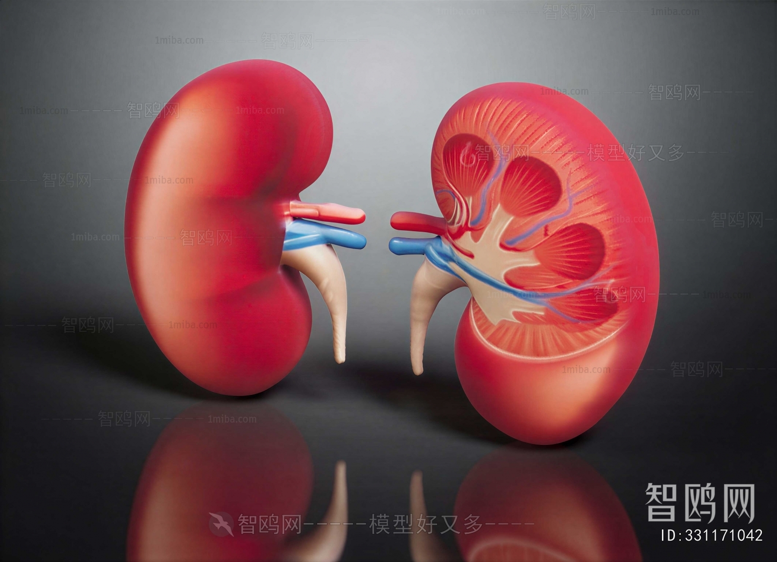 Modern Medical Equipment