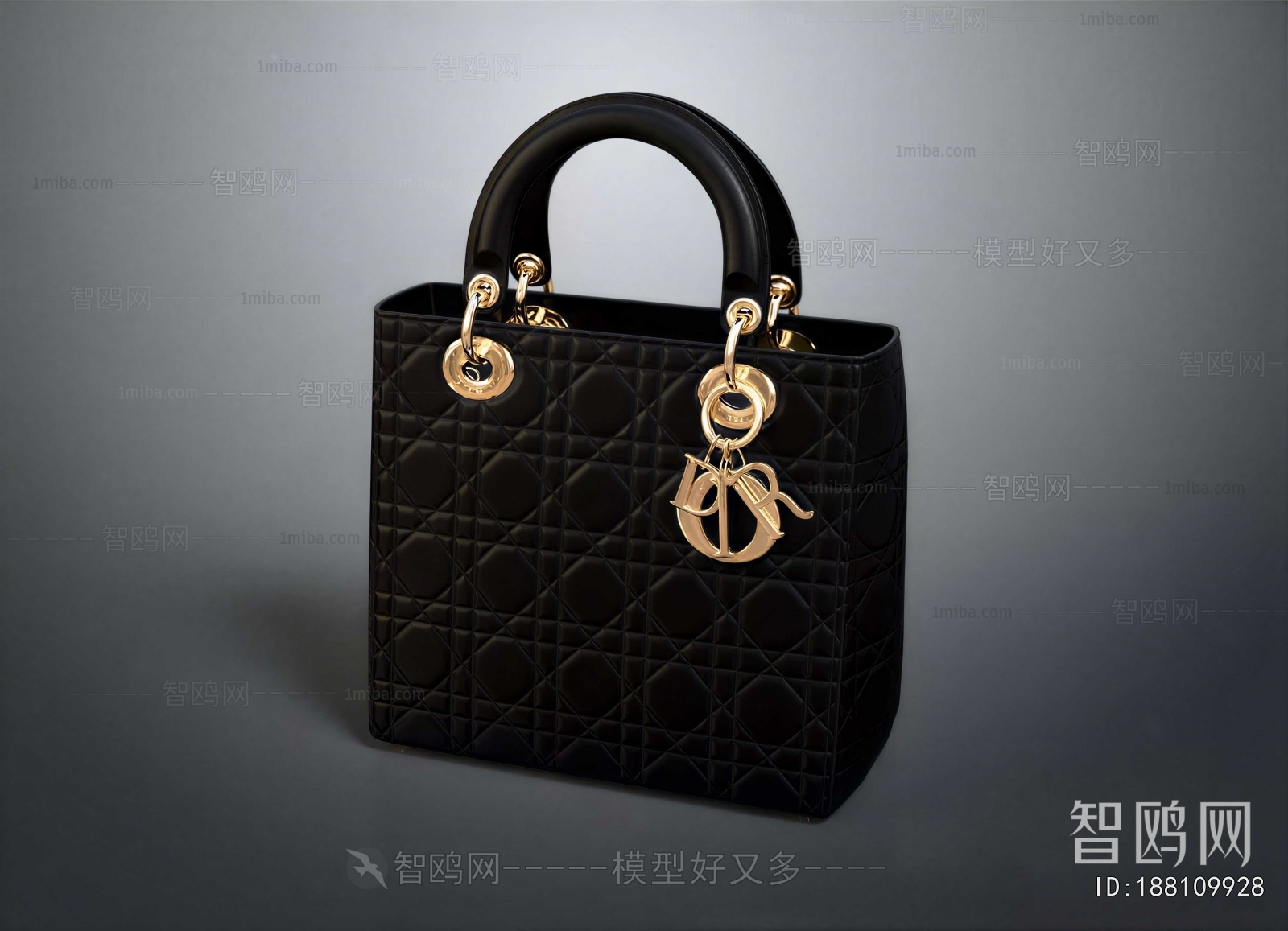 Modern Lady's Bag
