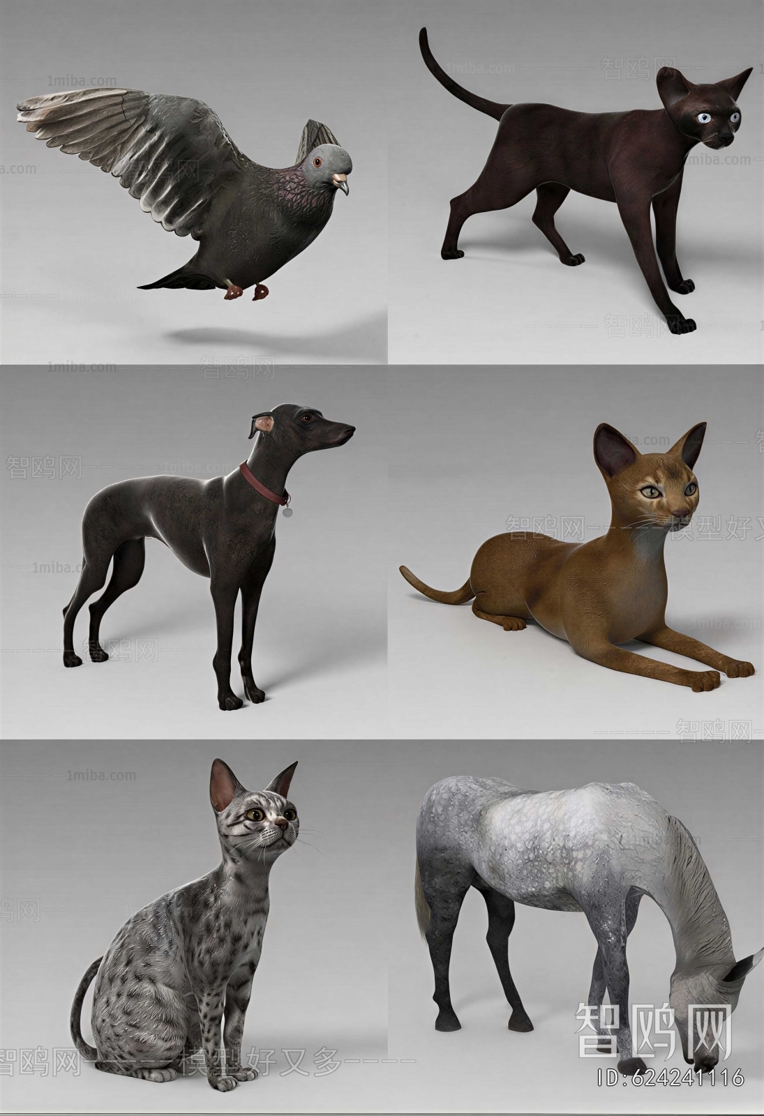 Modern Animal Cat