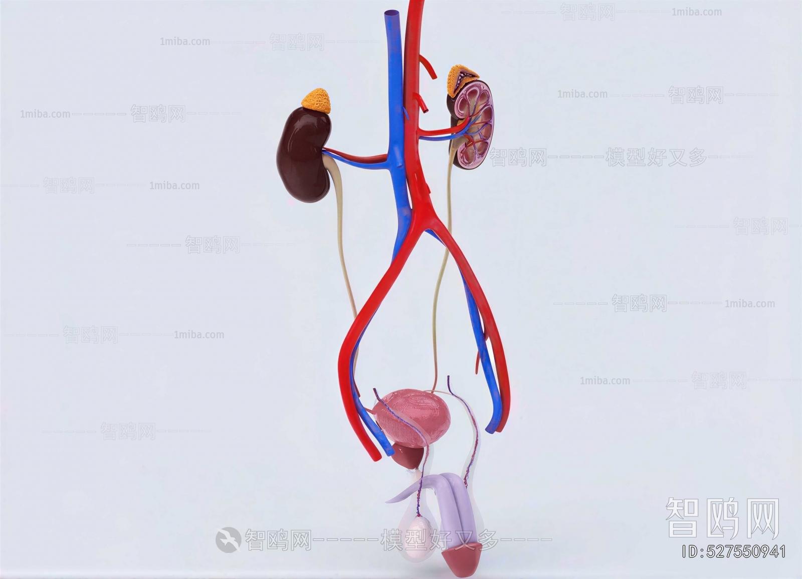 Modern Medical Equipment