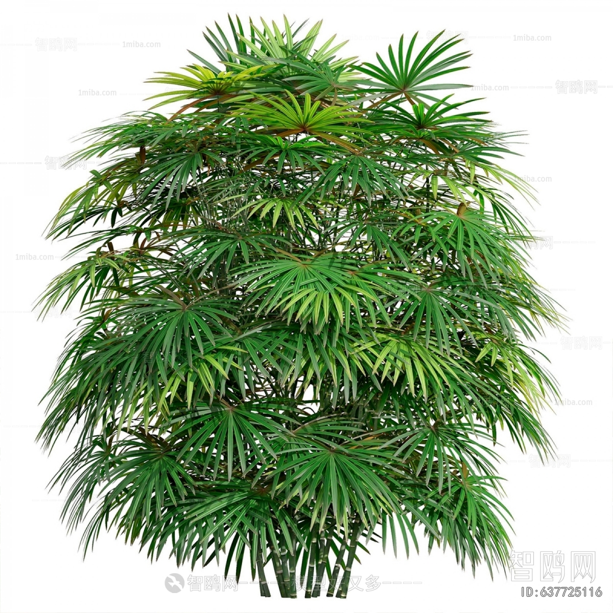 Modern Plant Pile