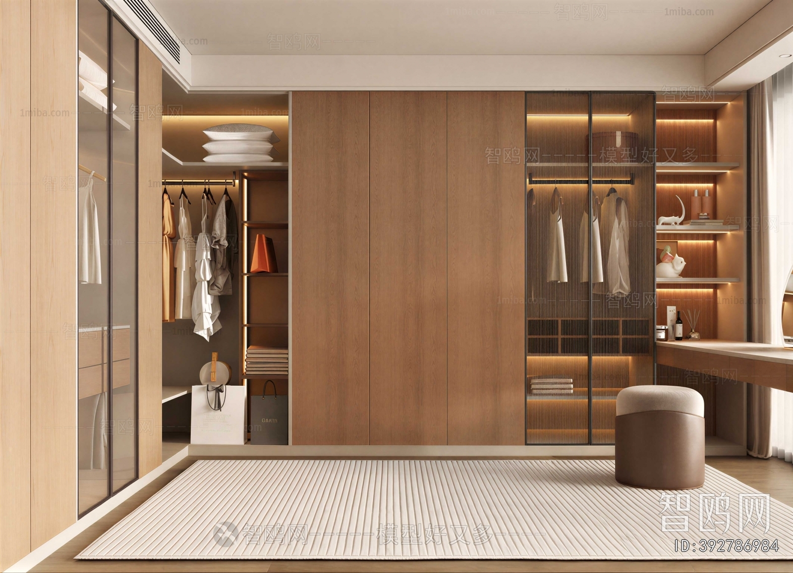 Modern Clothes Storage Area