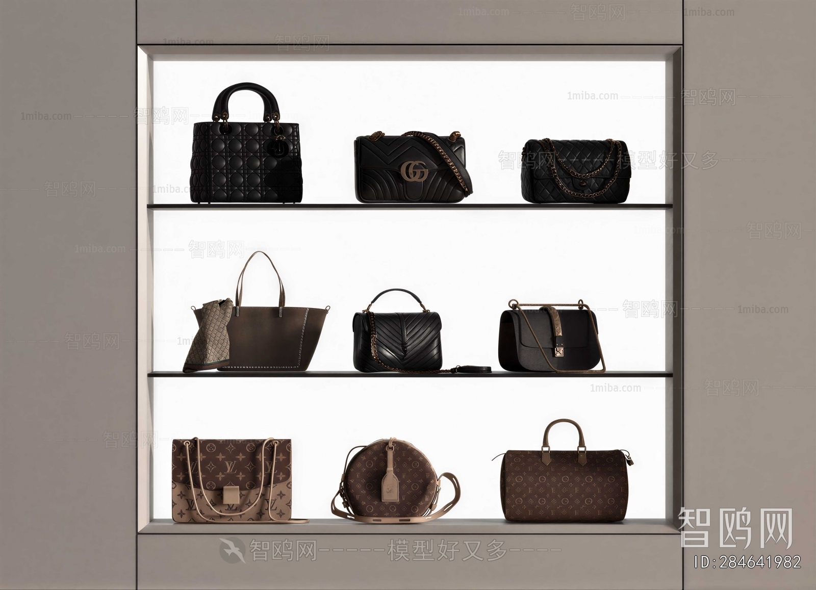 Modern Lady's Bag