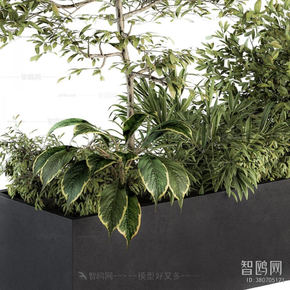 Modern Flower Bed, Flower Bowl, Flower Box