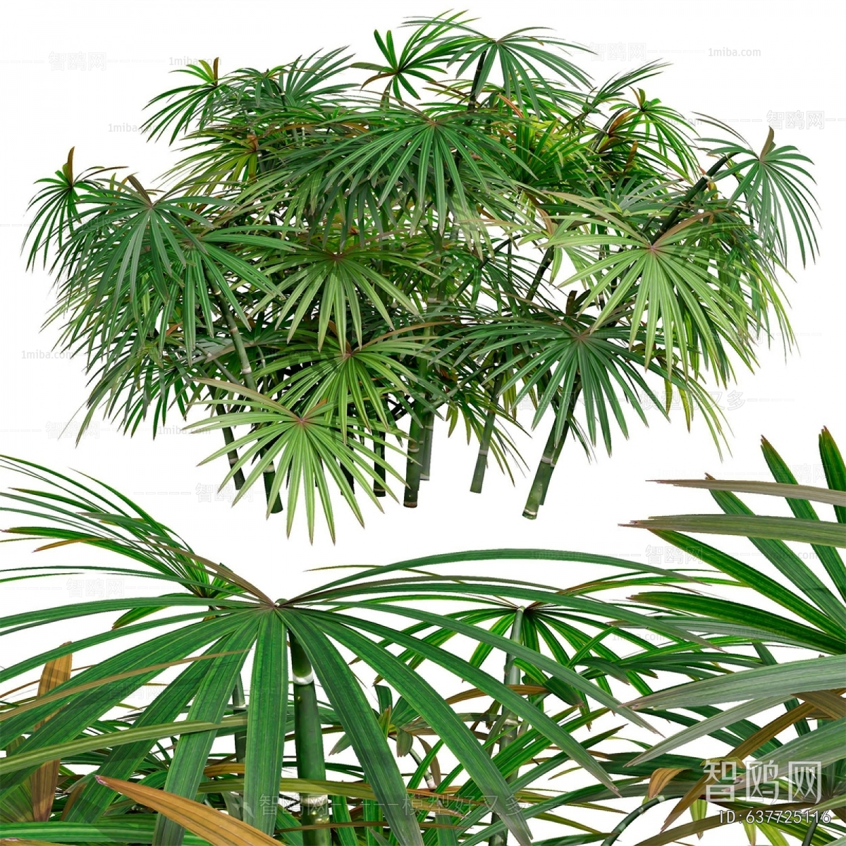 Modern Plant Pile