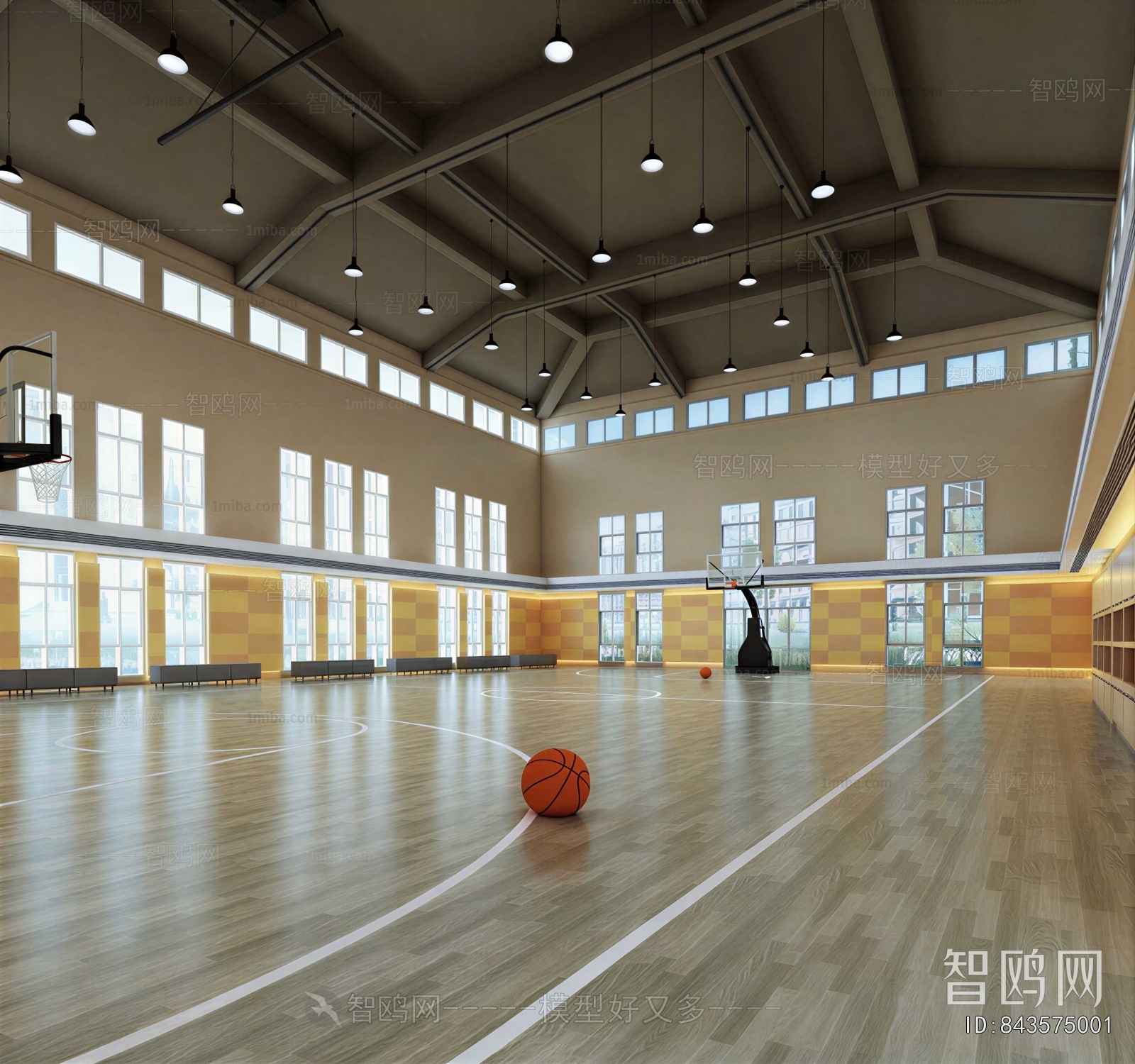 Modern Basketball Arena