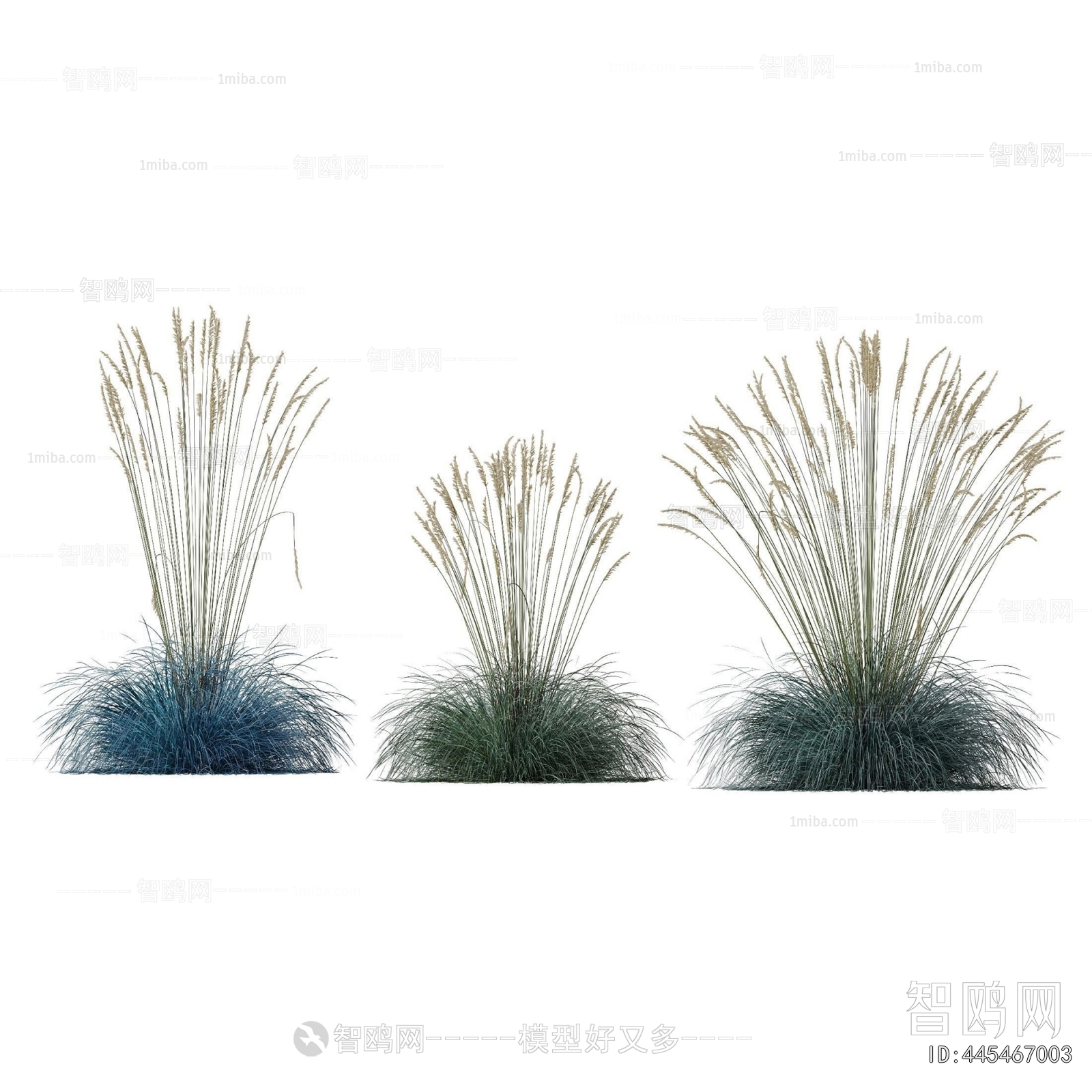 Modern Flowers And Grass