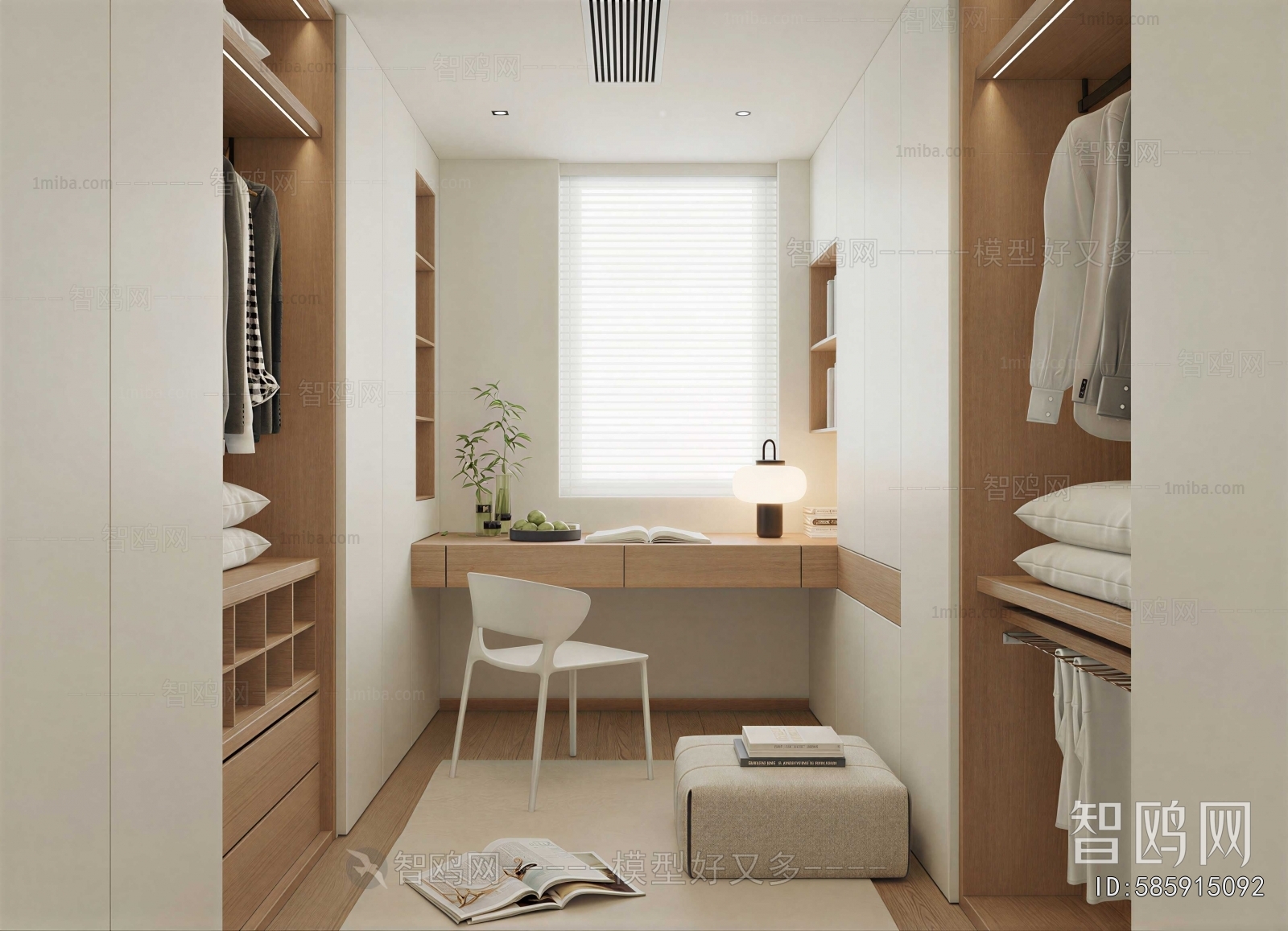 Modern Clothes Storage Area