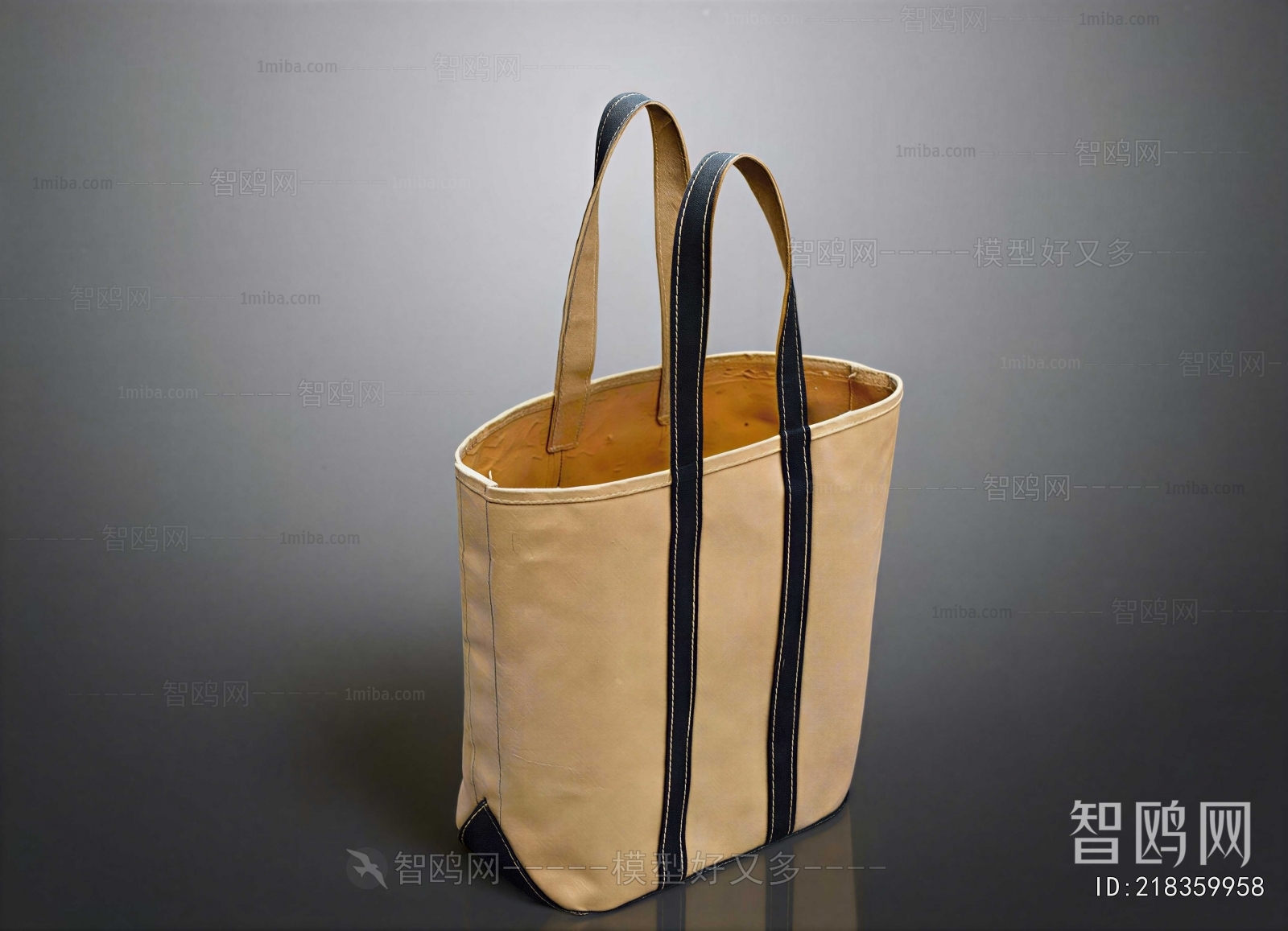 Modern Lady's Bag